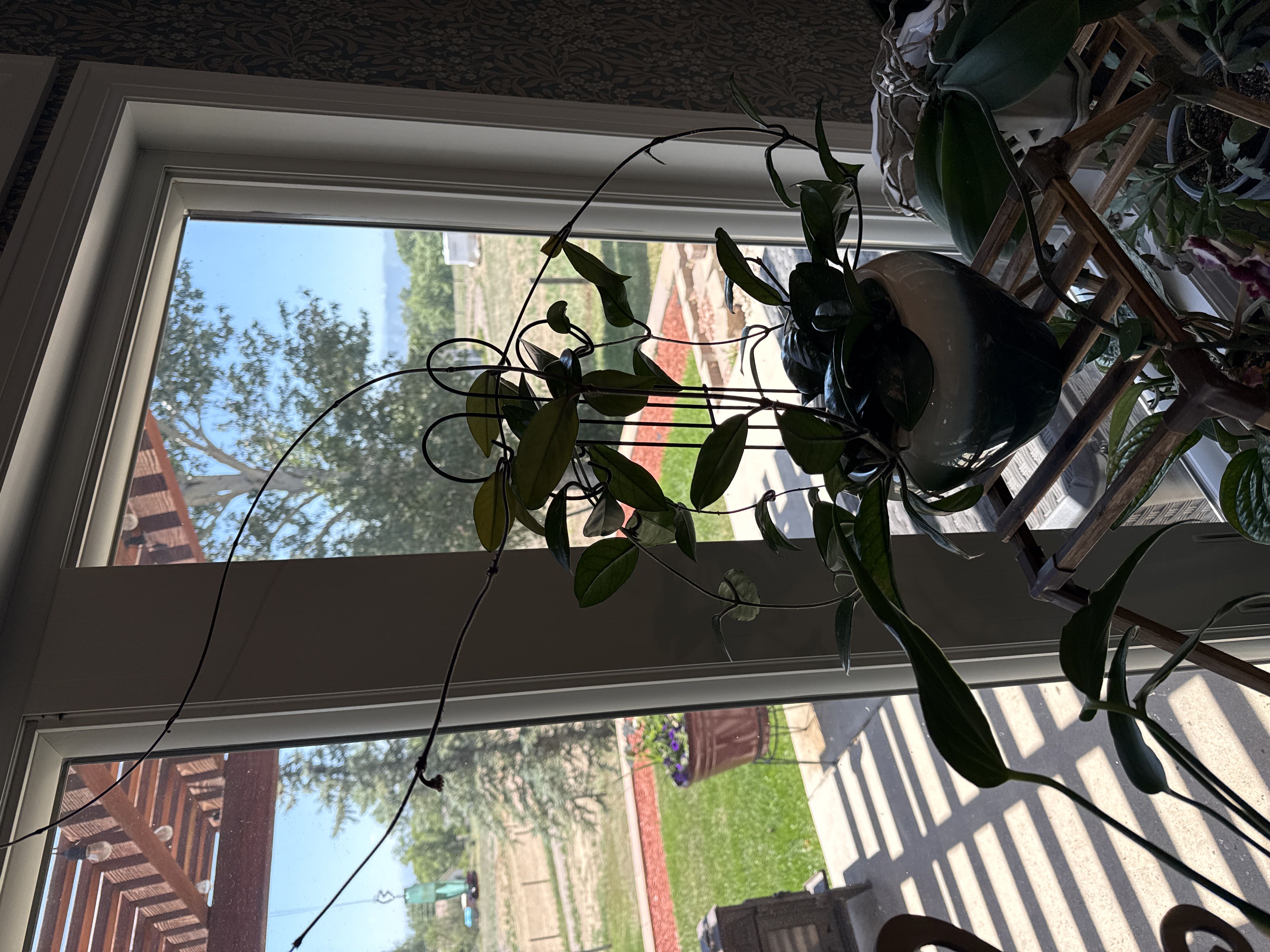 Photo from the post