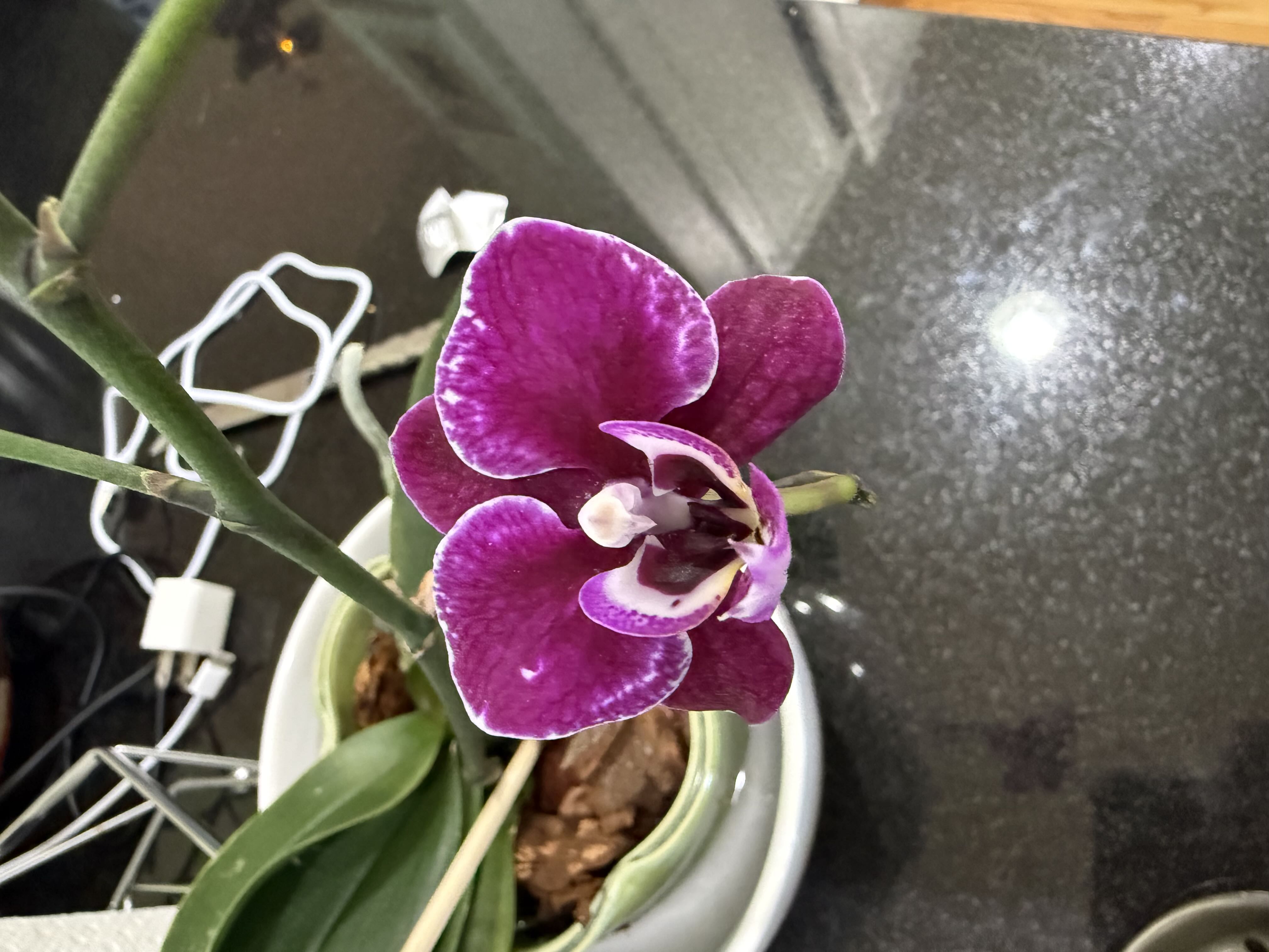 Photo from the post