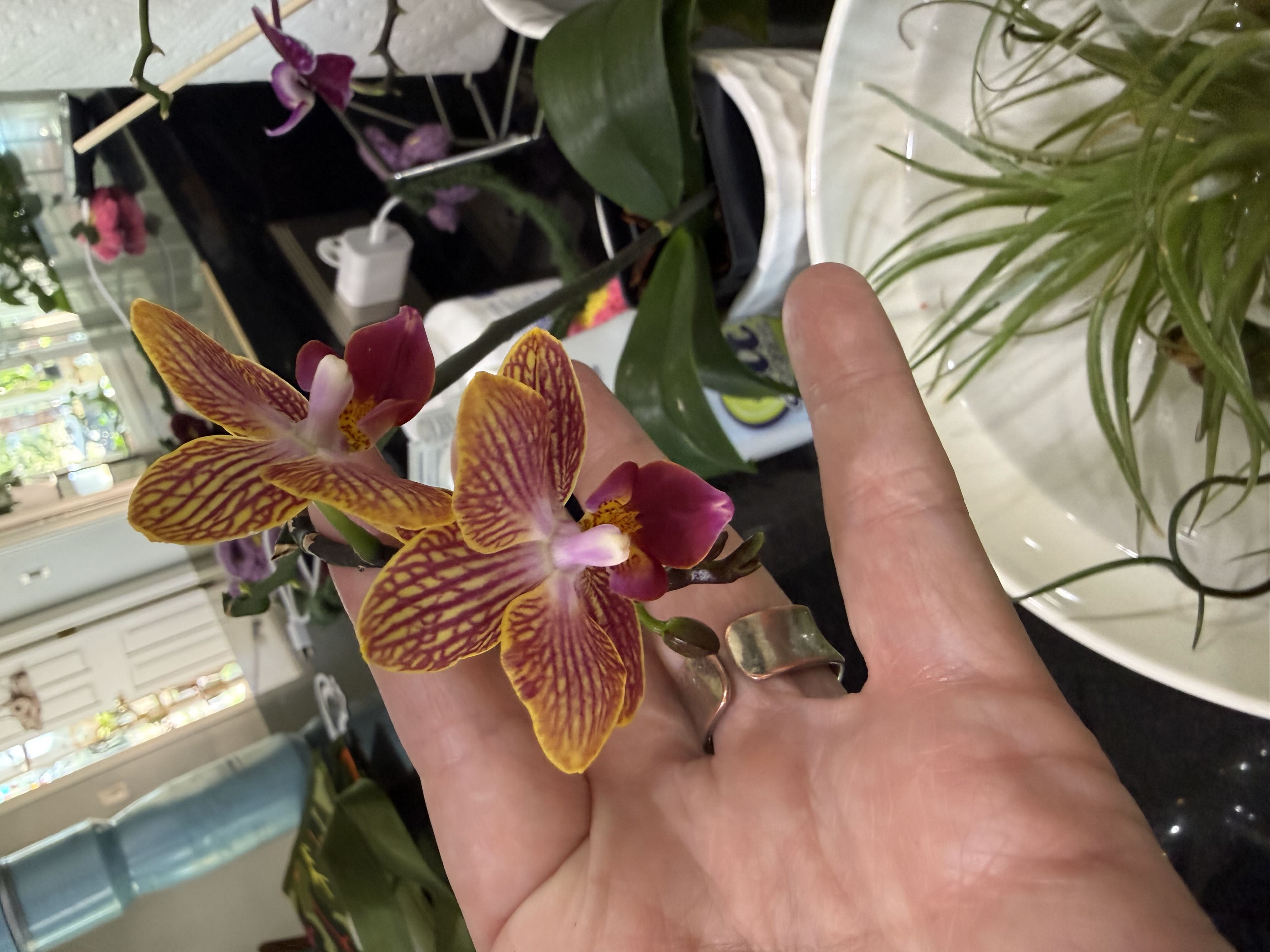 Photo from the post