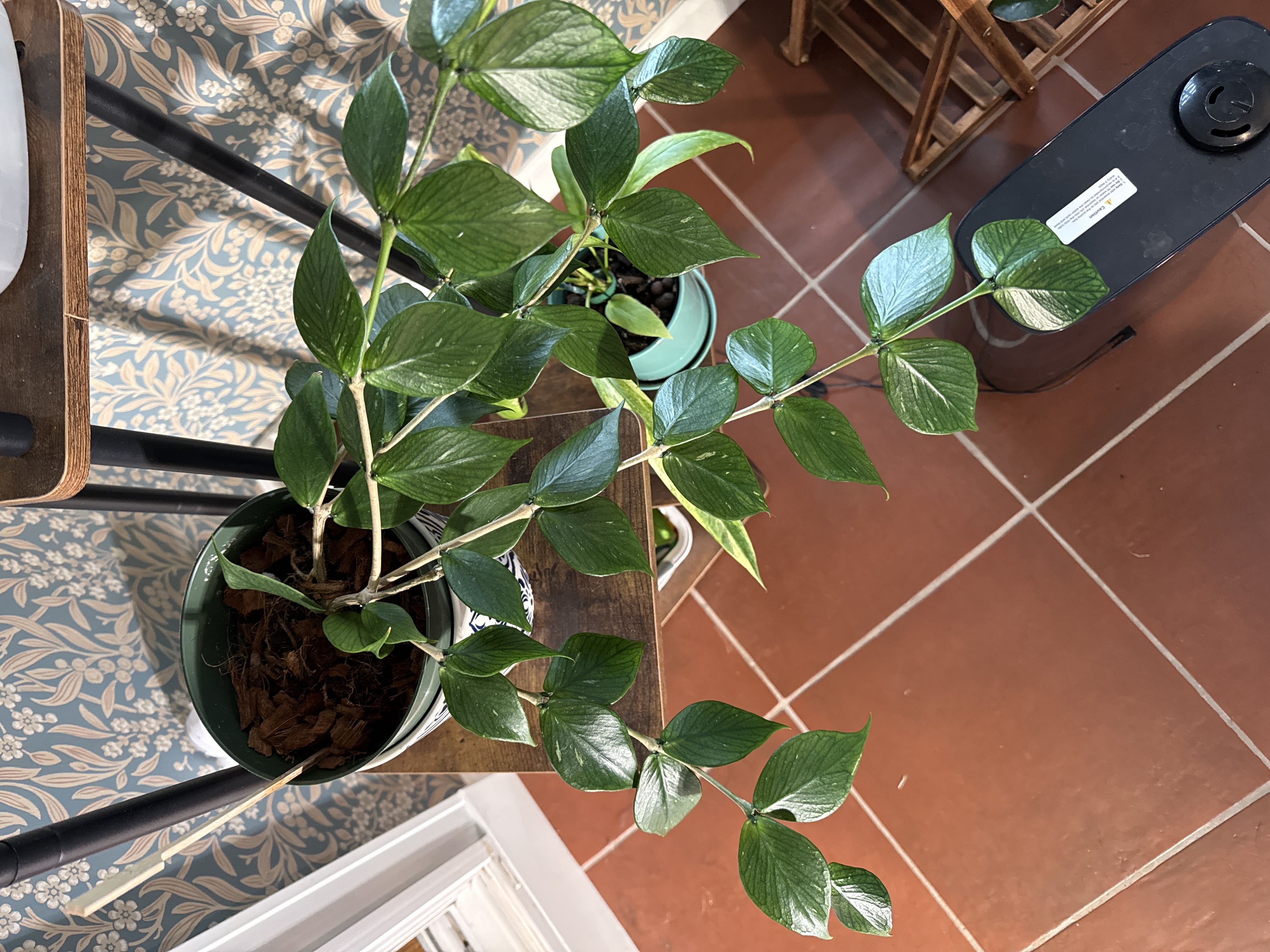 Photo from the post