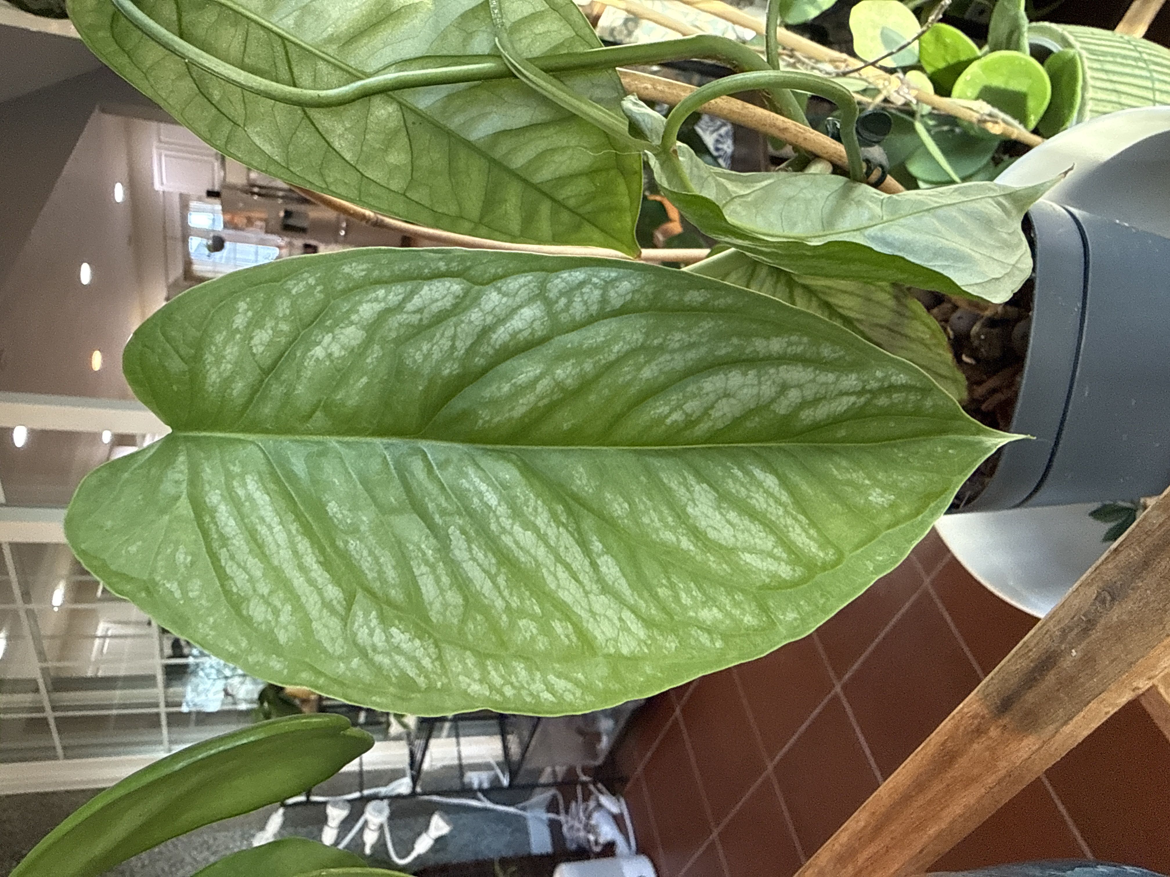 Photo from the post
