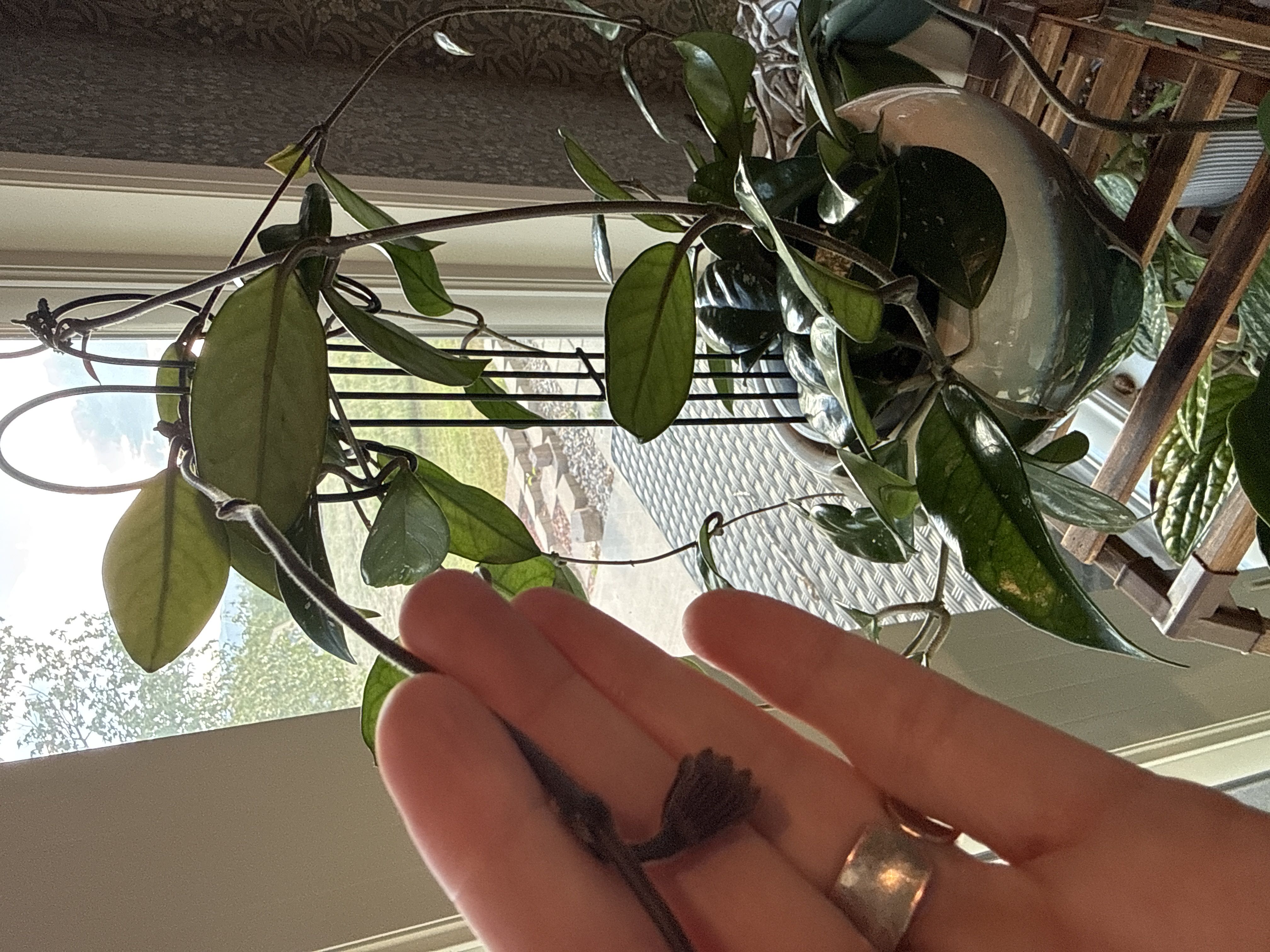 Photo from the post