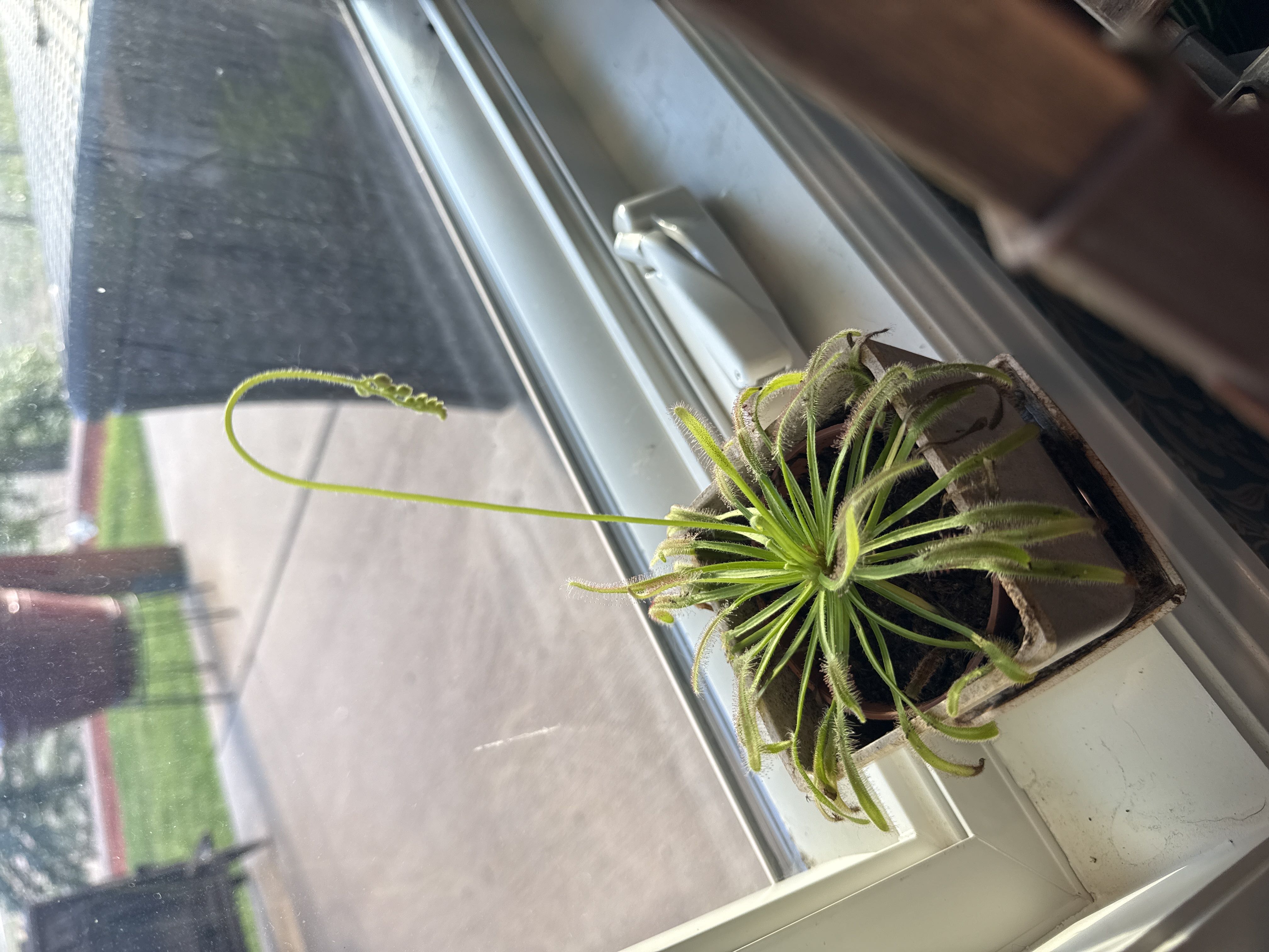 Photo from the post