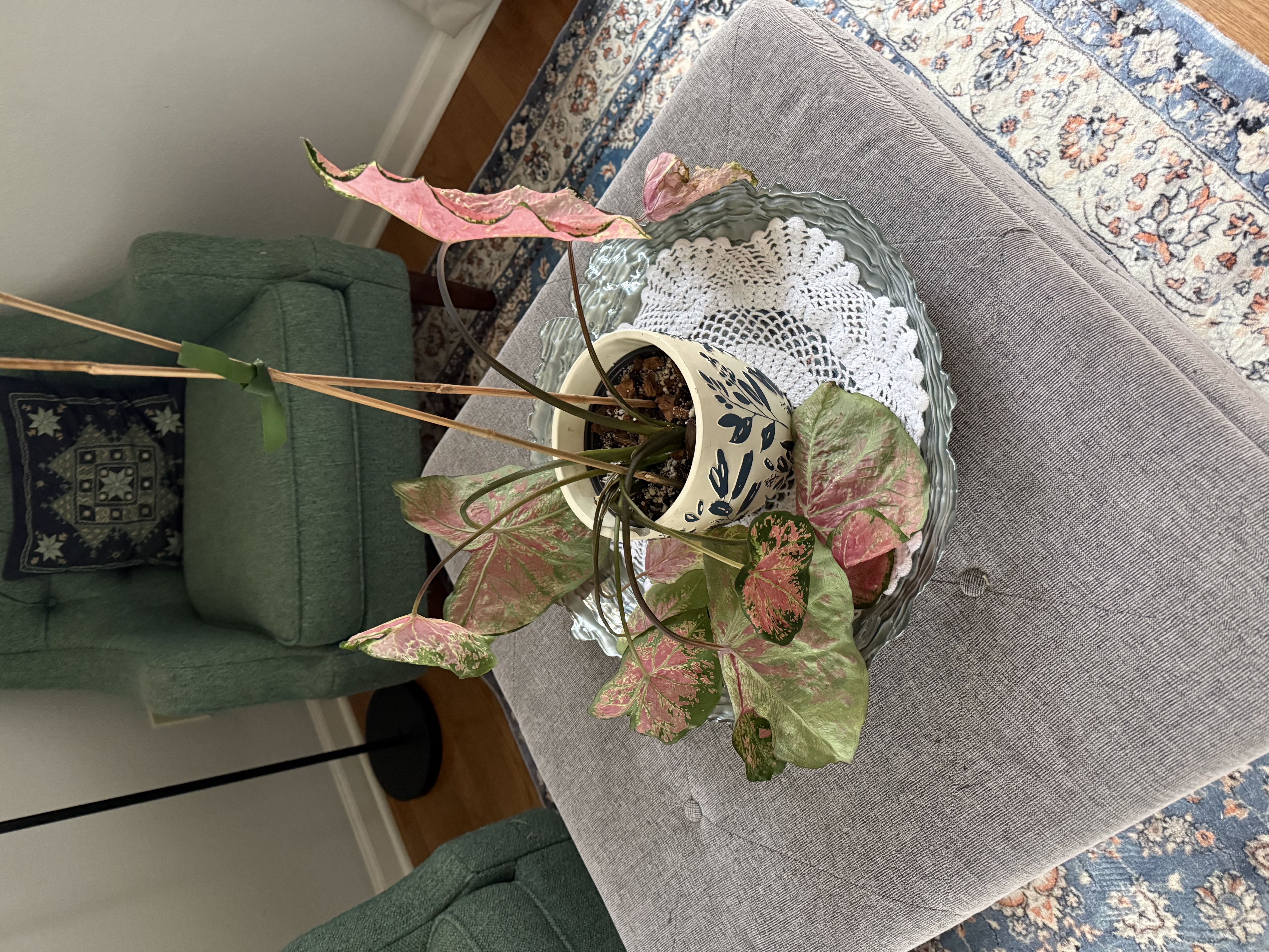 Photo from the post