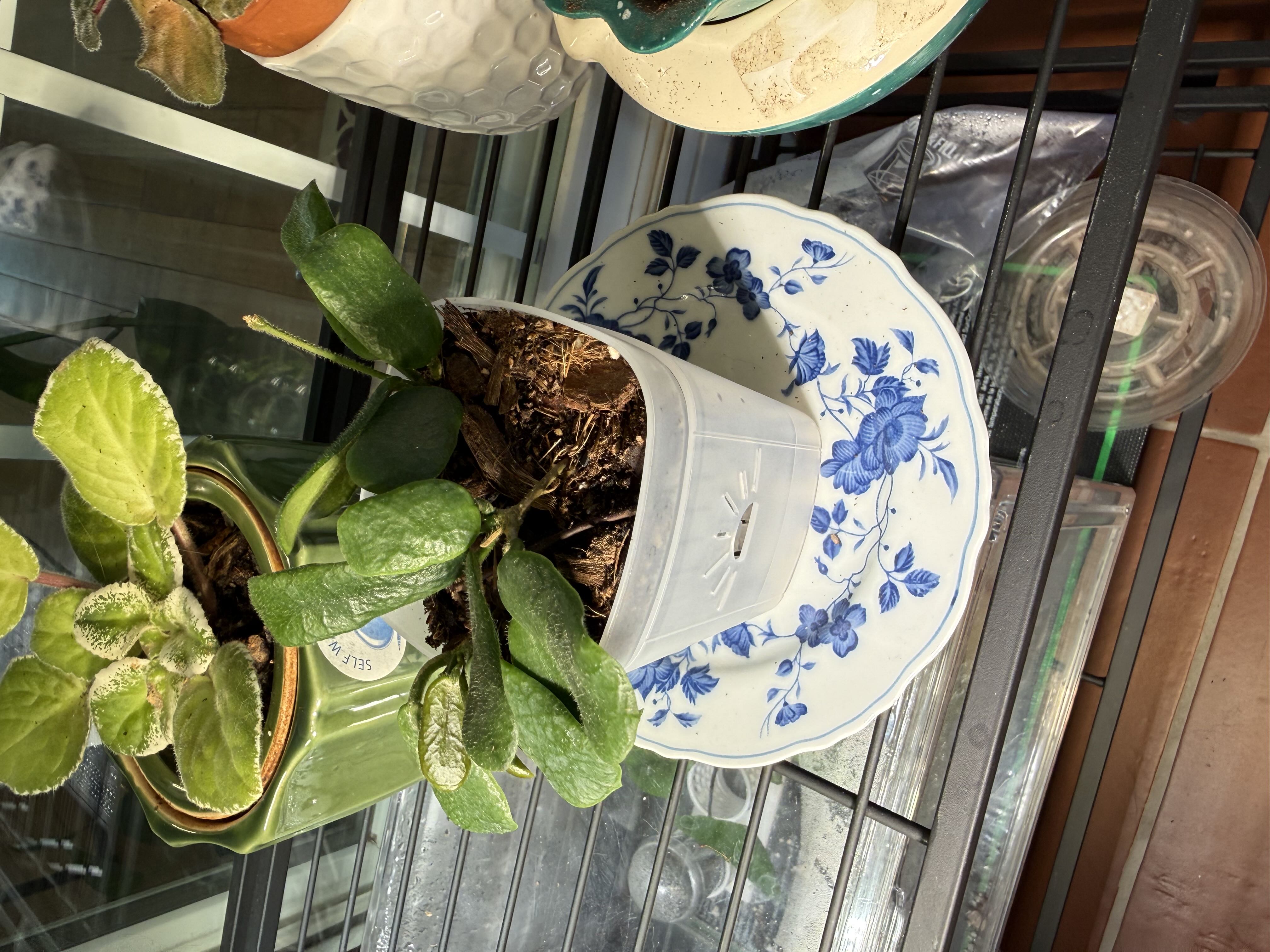 Photo from the post