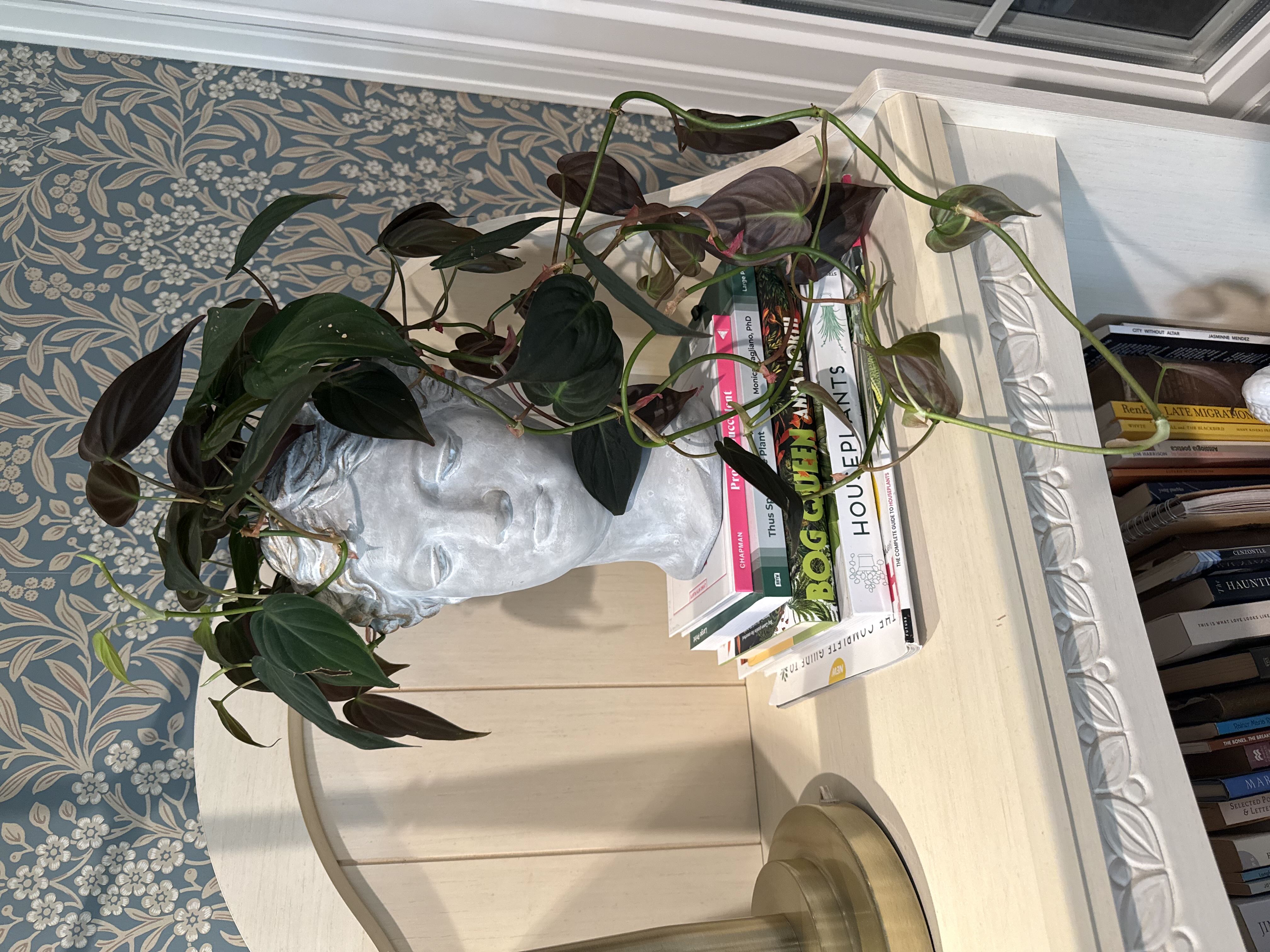 Photo from the post