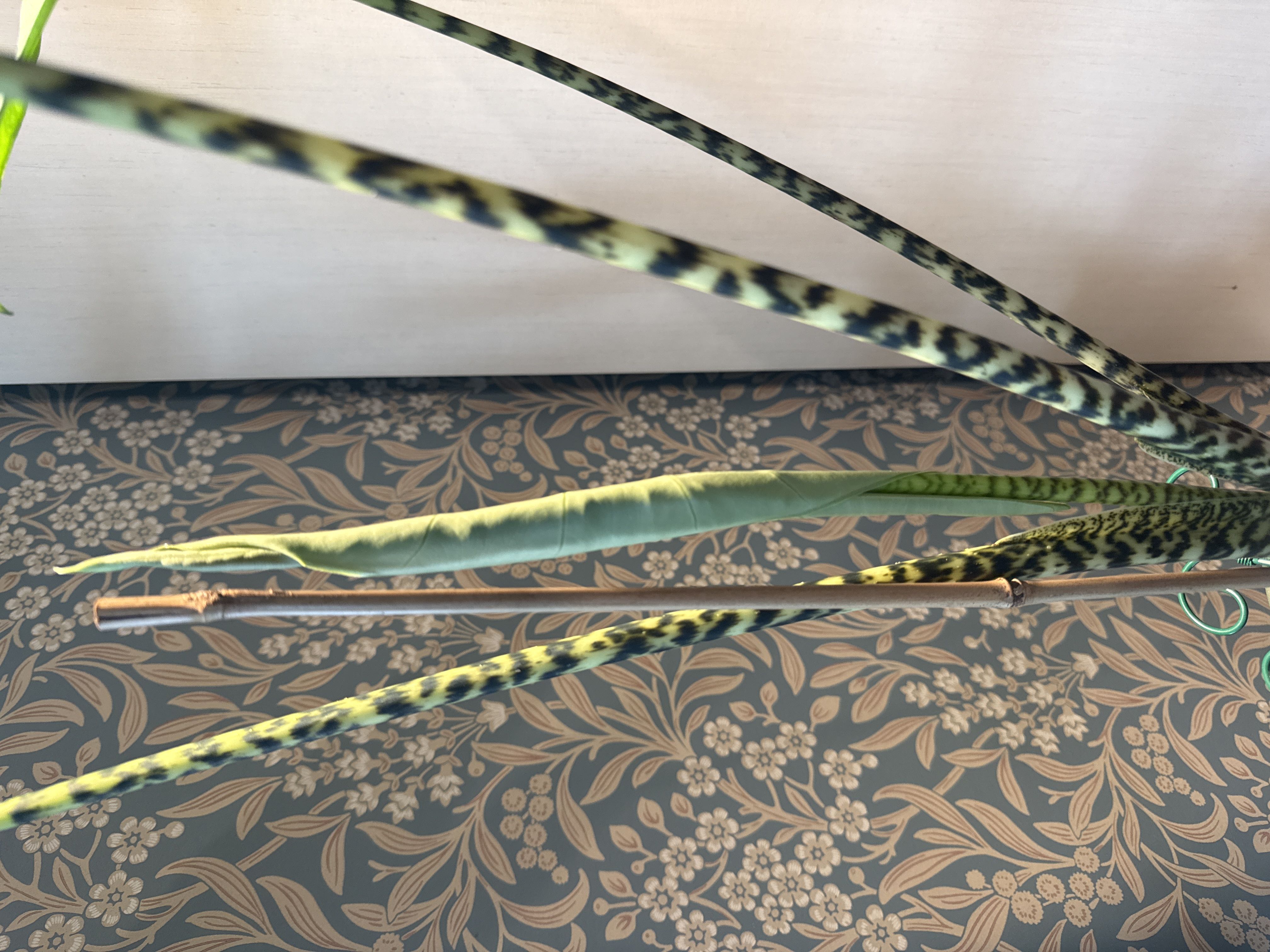 Photo from the post