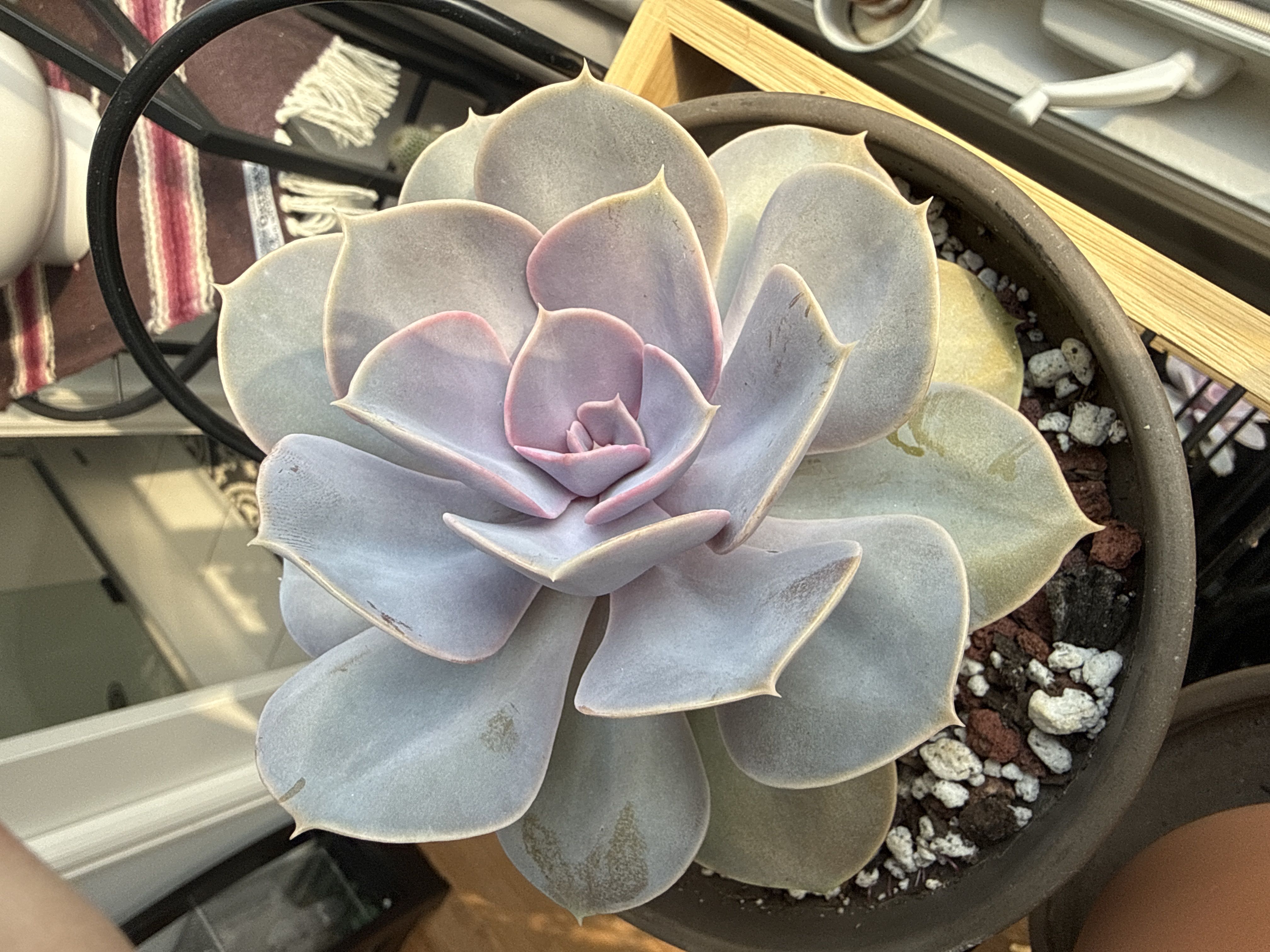 Photo from the post