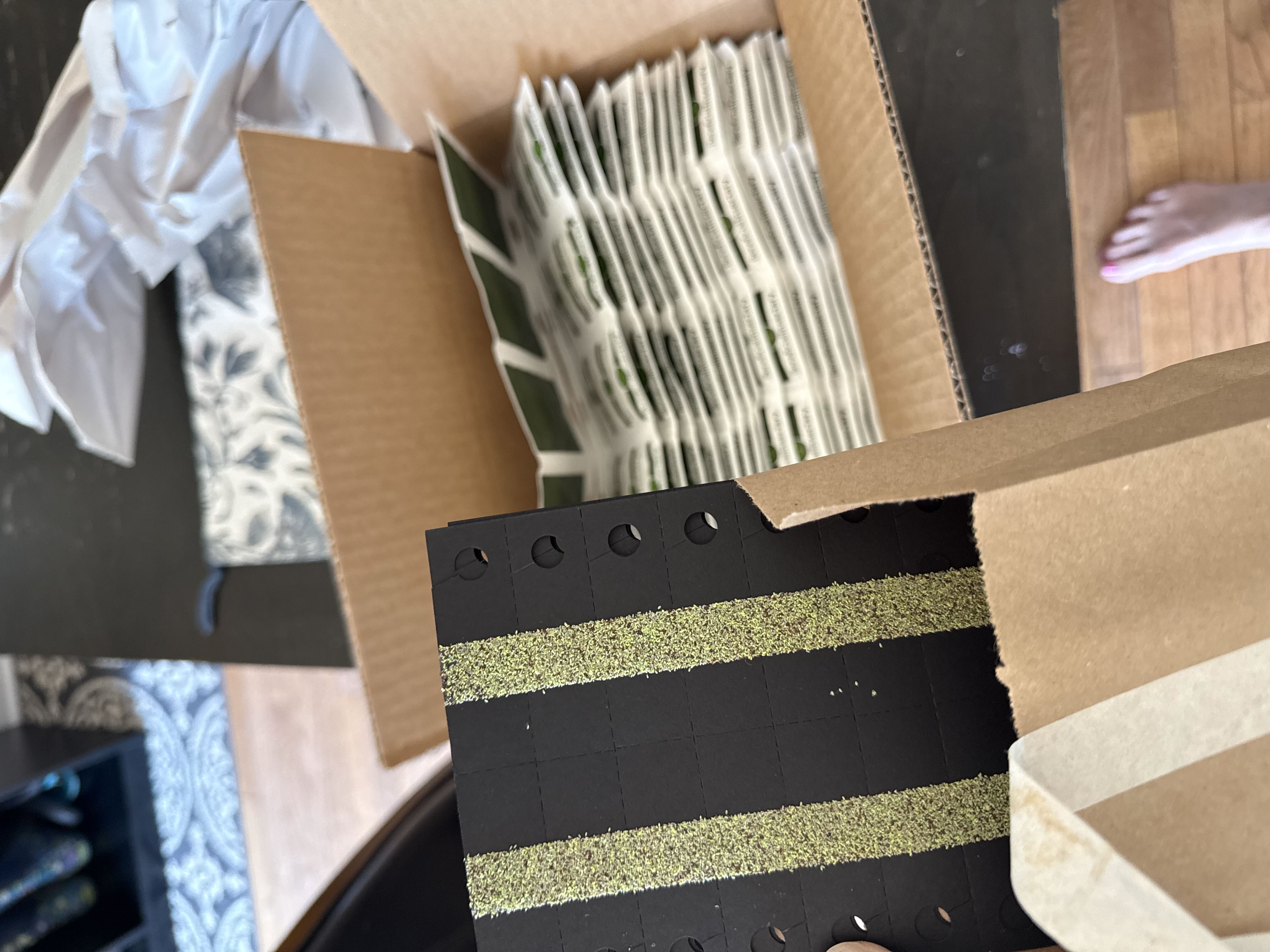 Photo from the post