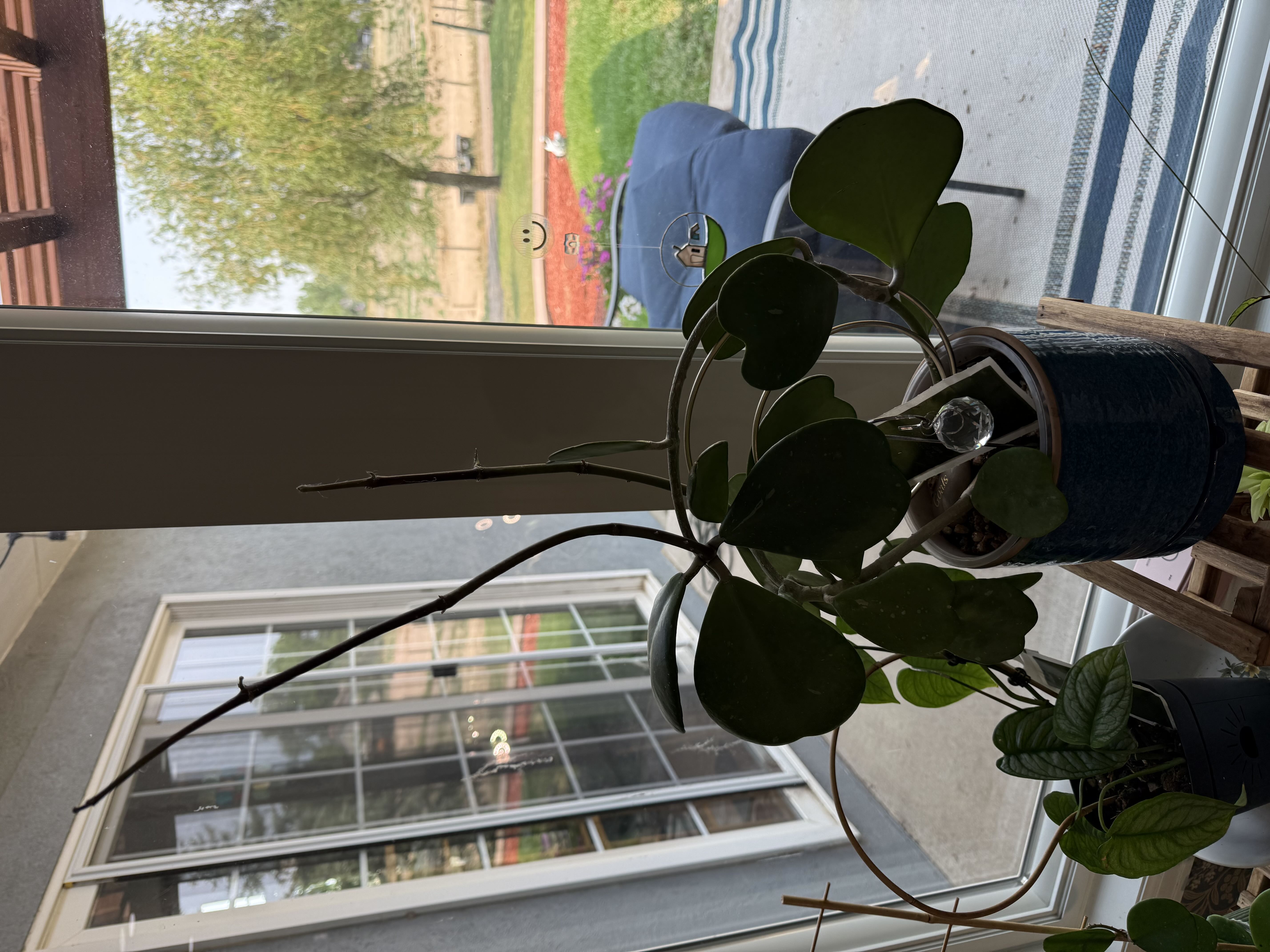 Photo from the post