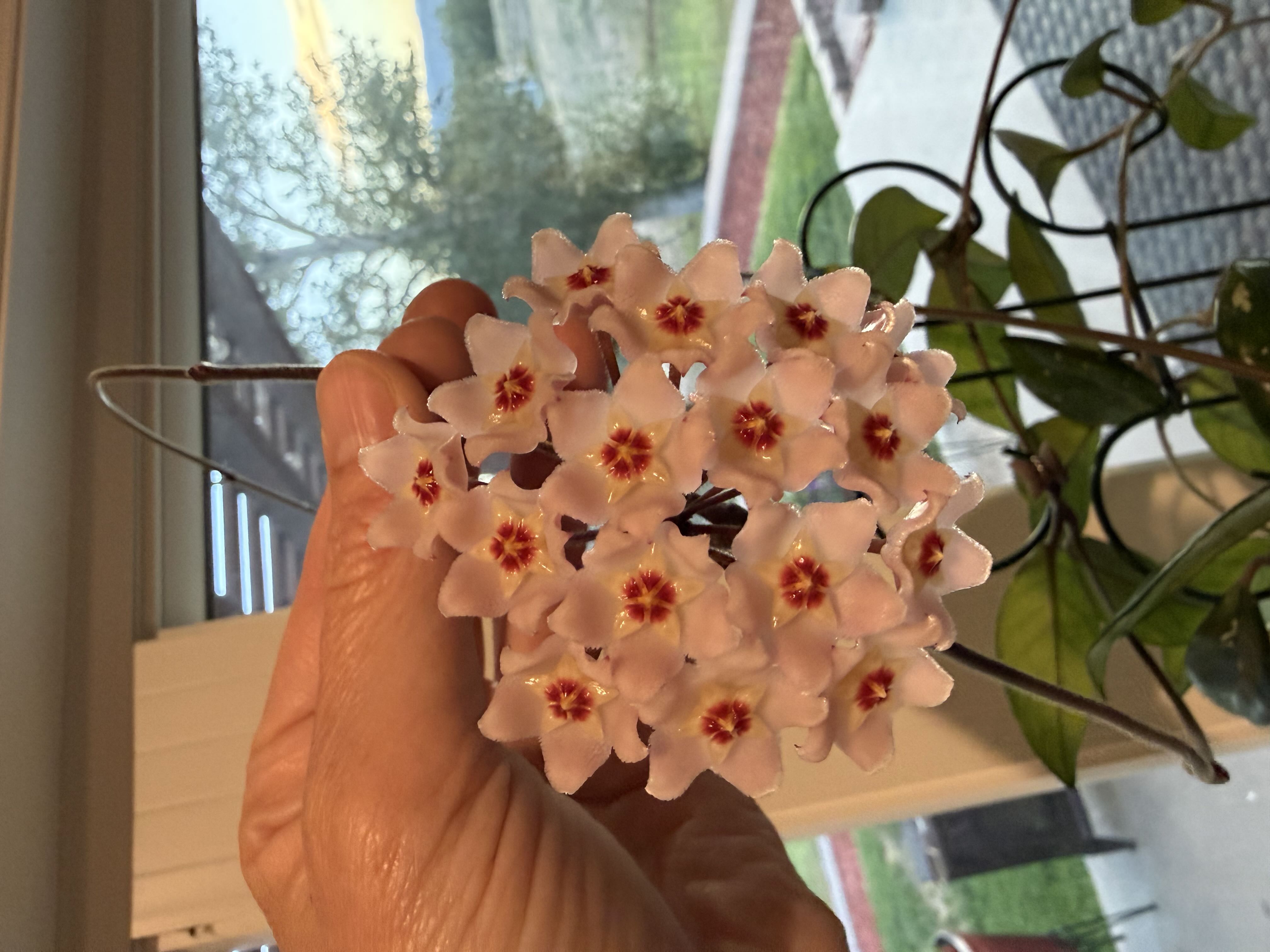 Photo from the post