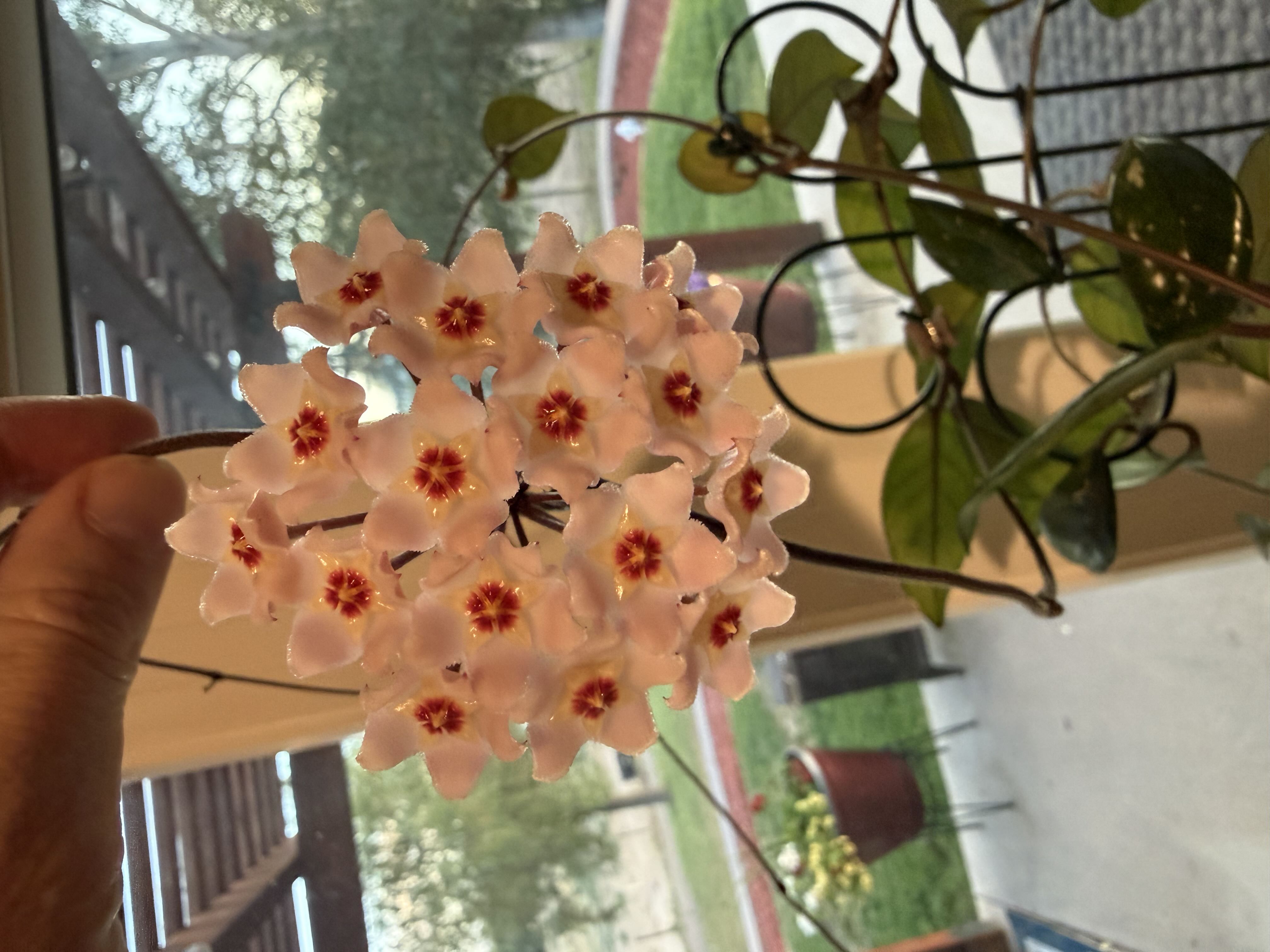 Photo from the post