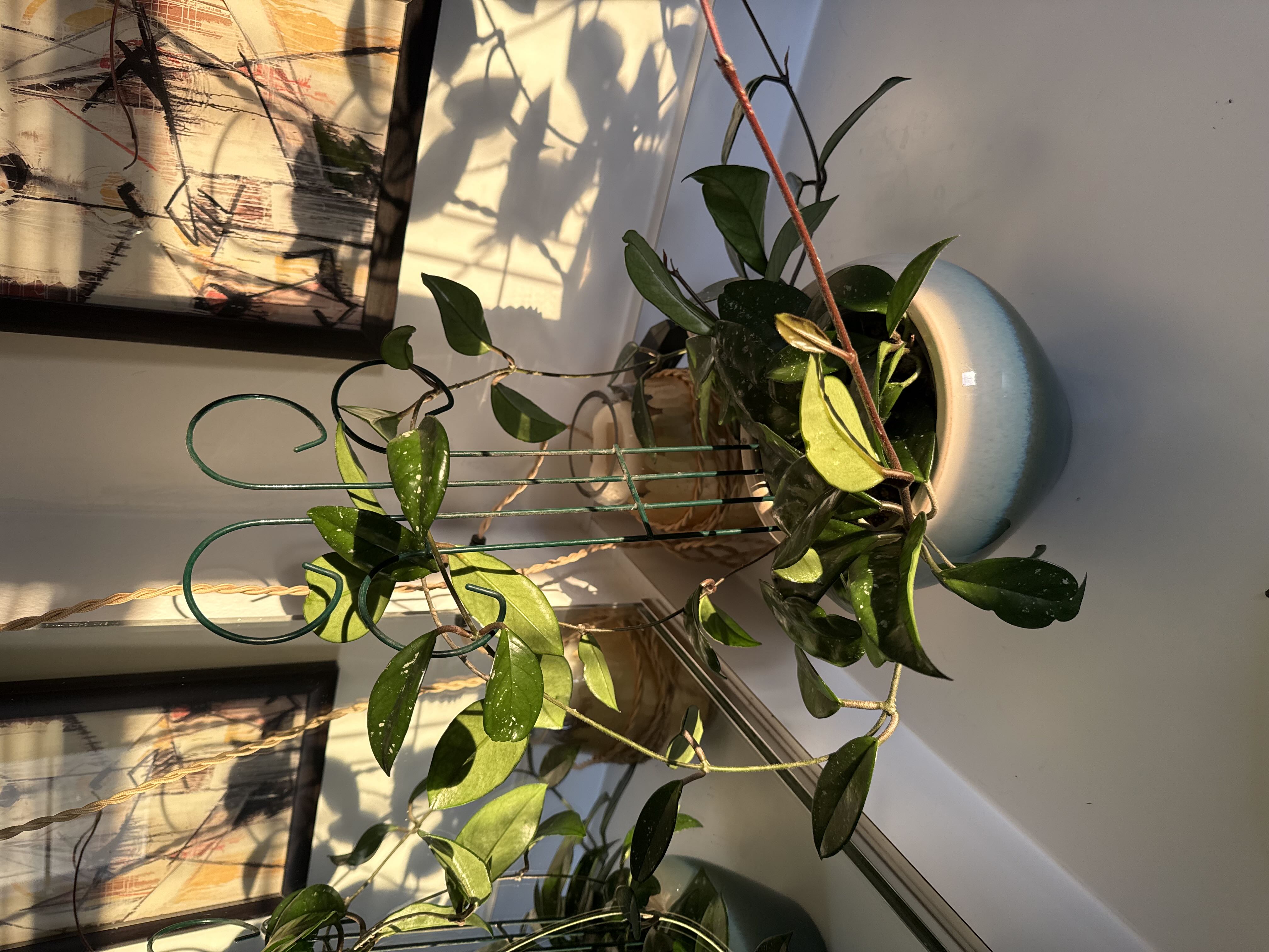 Photo from the post