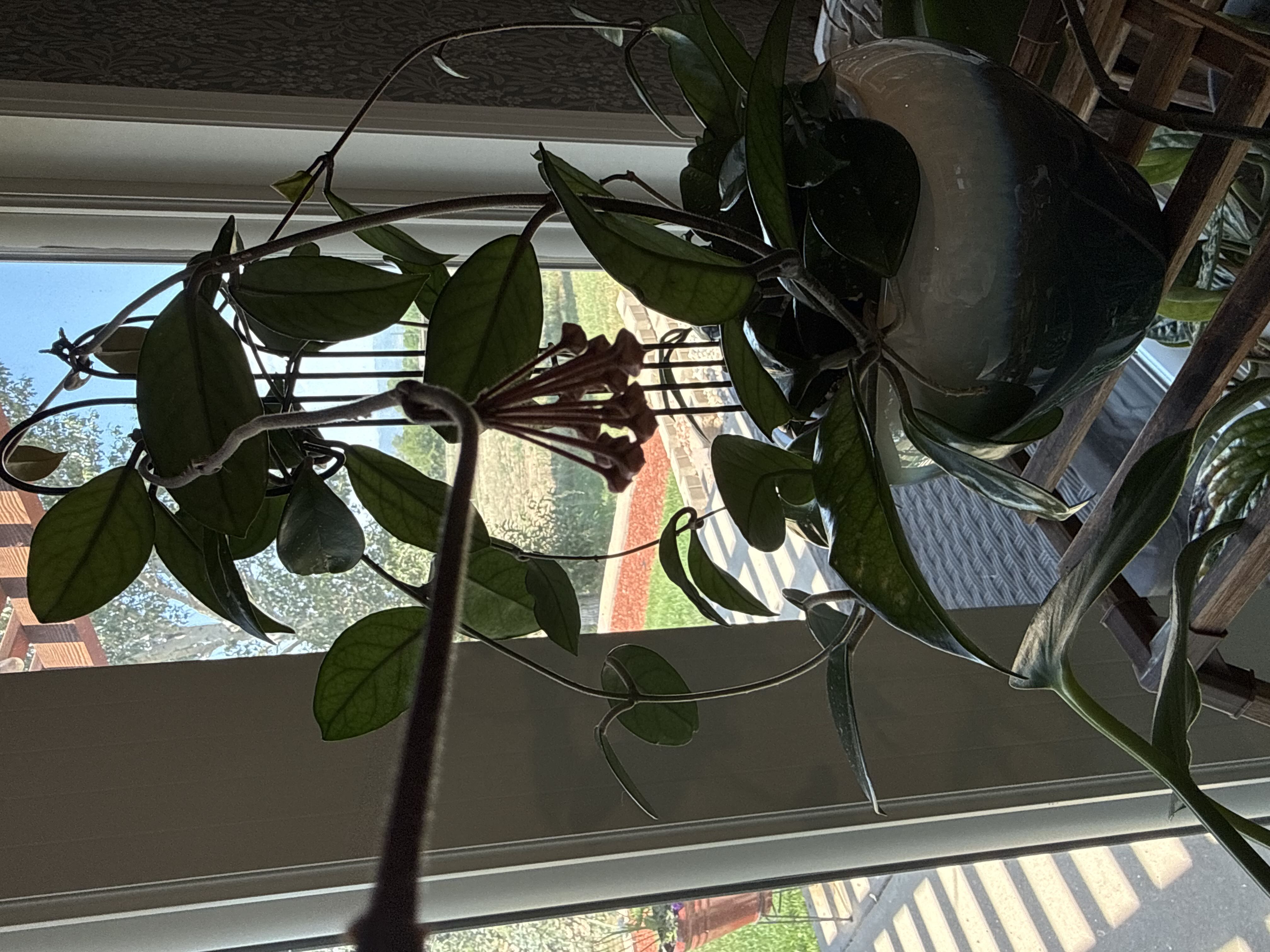 Photo from the post