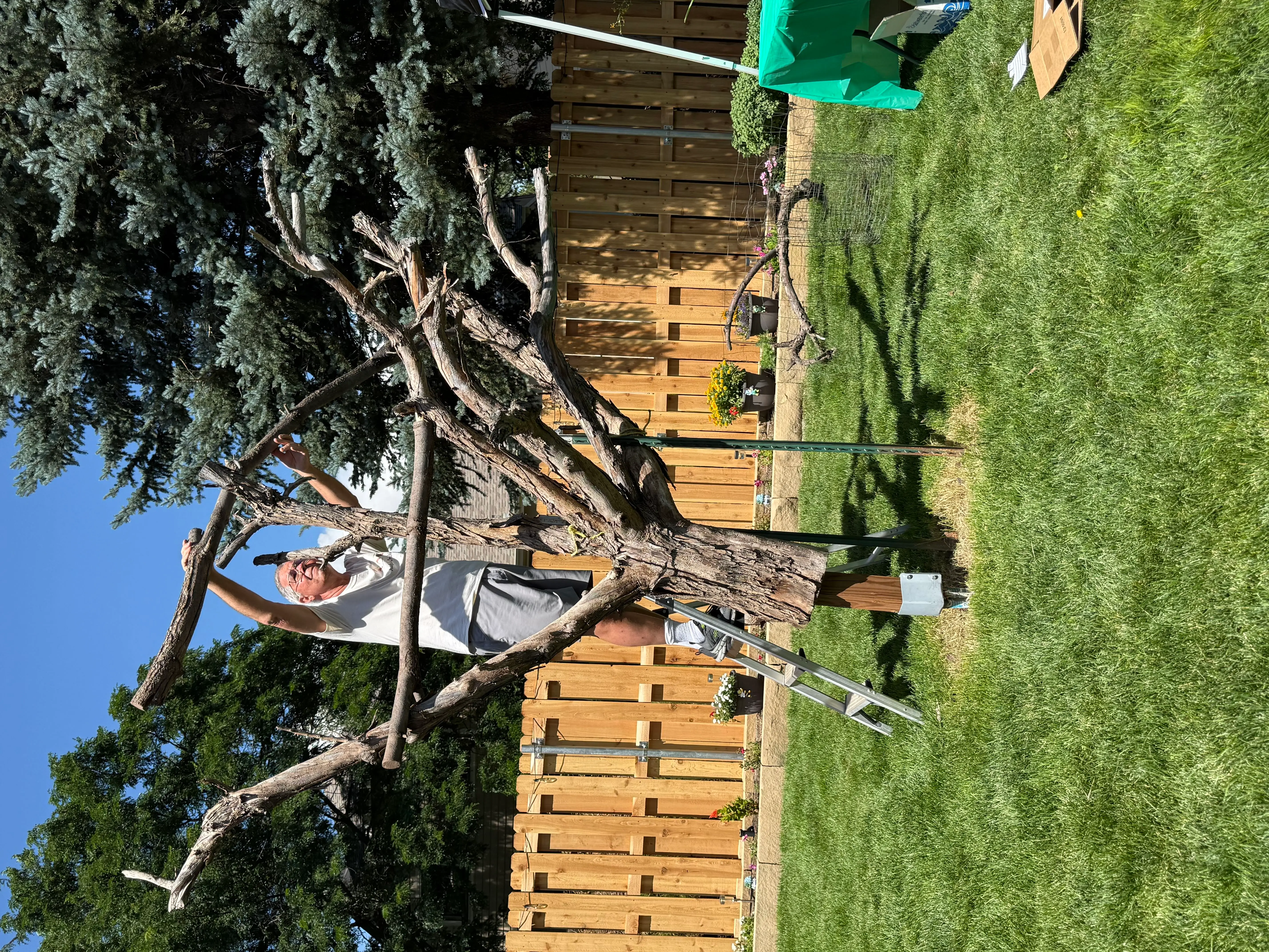 Photo from the post