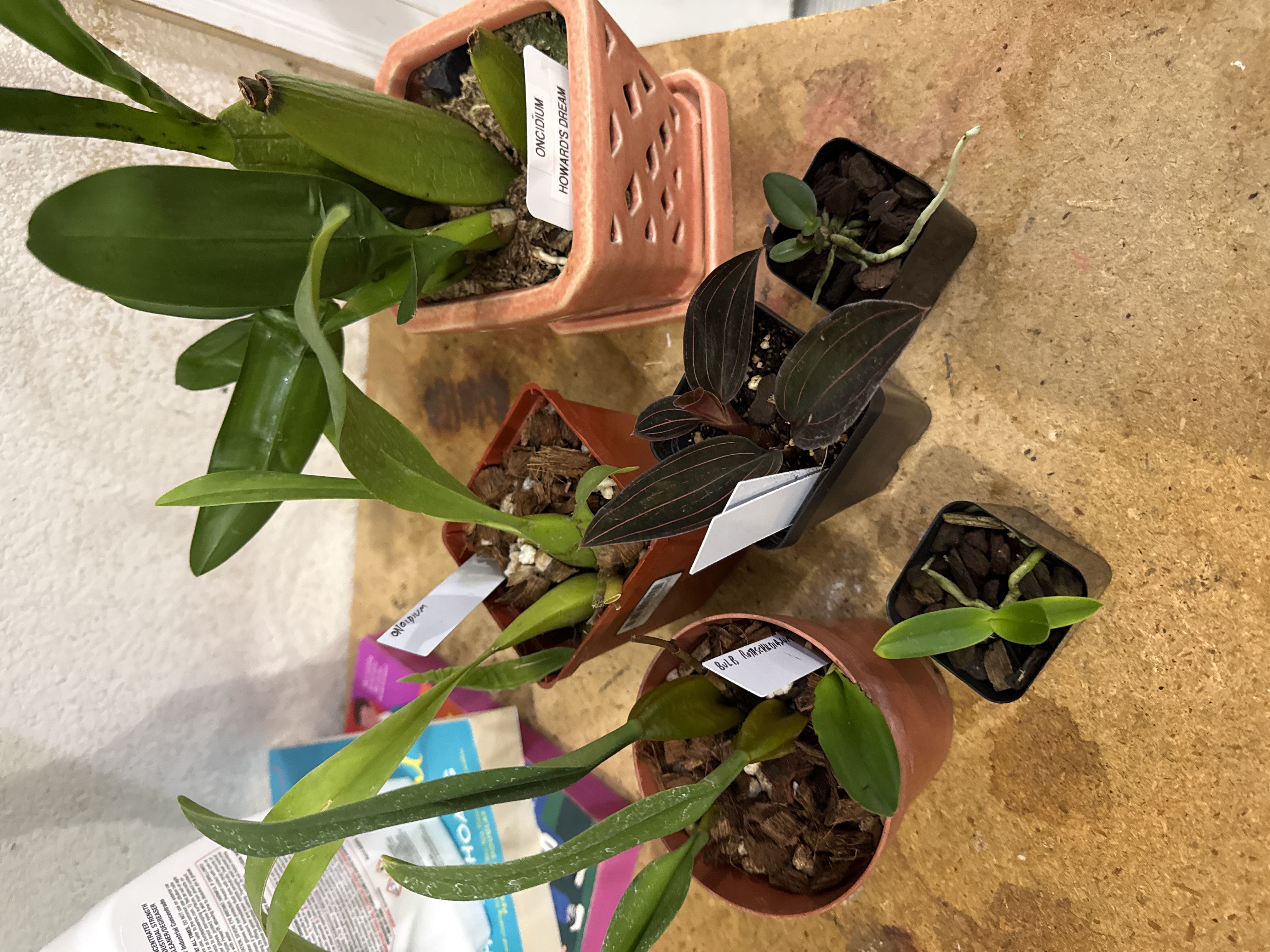 Photo from the post