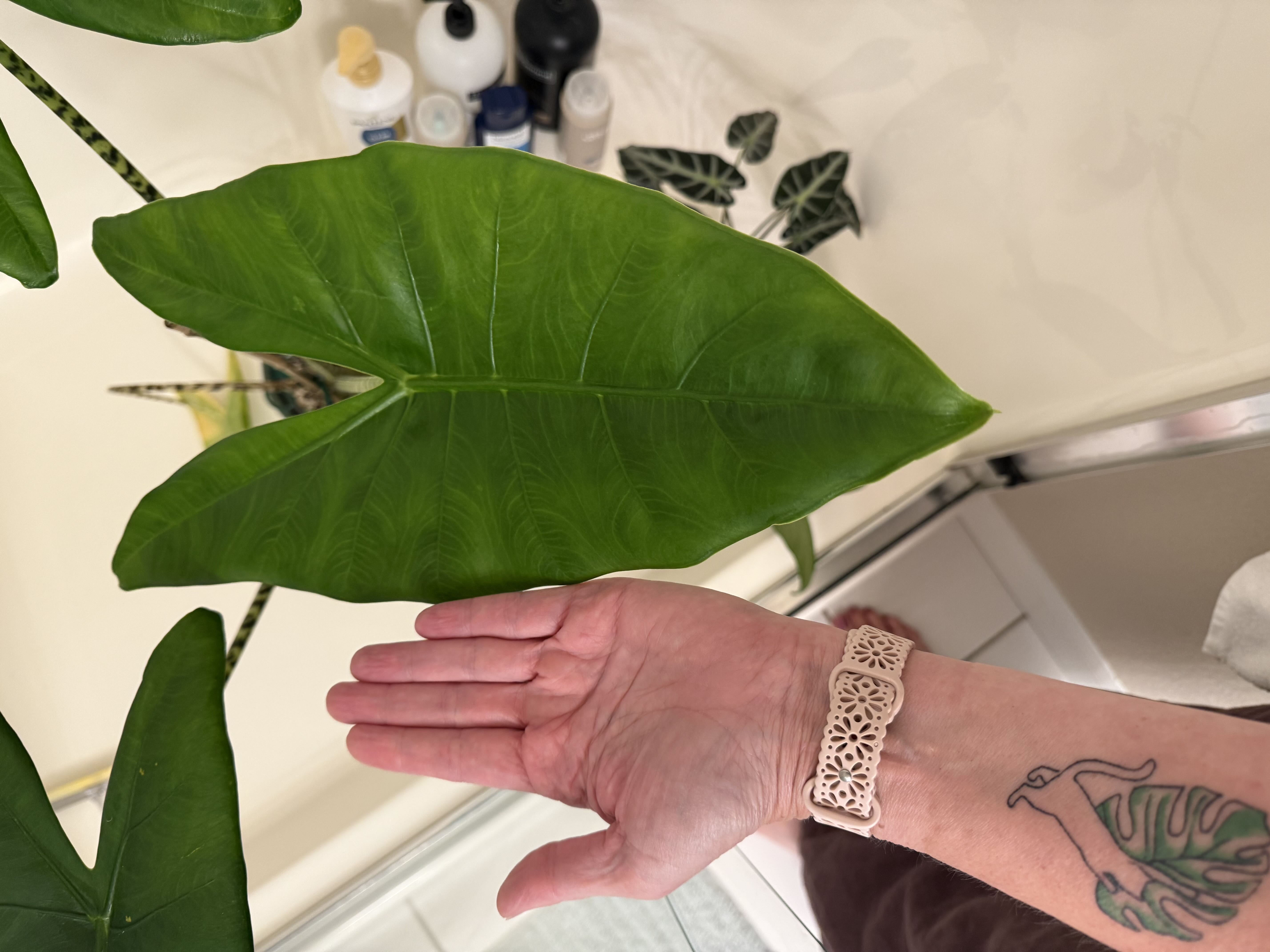 Photo from the post