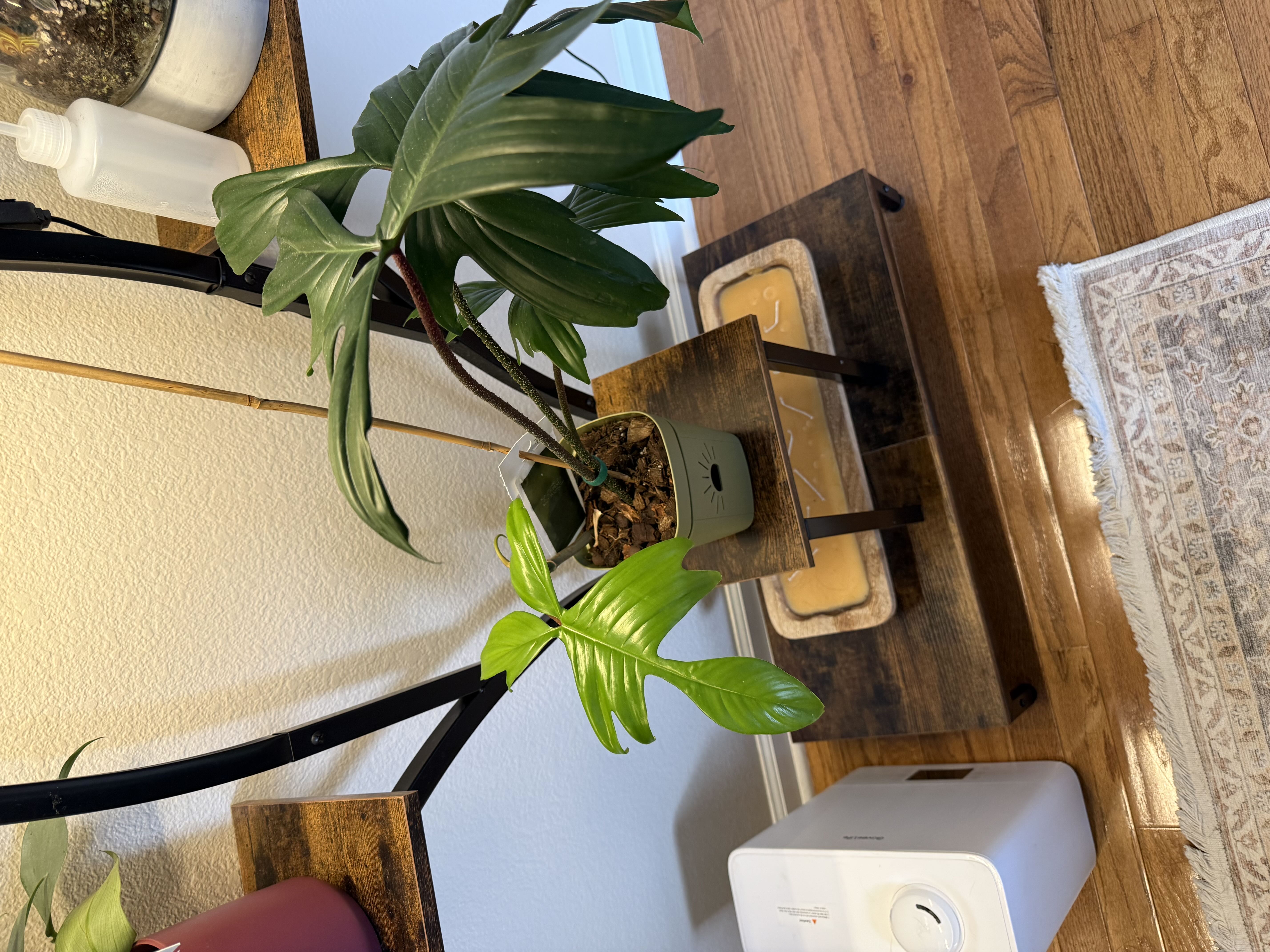 Photo from the post