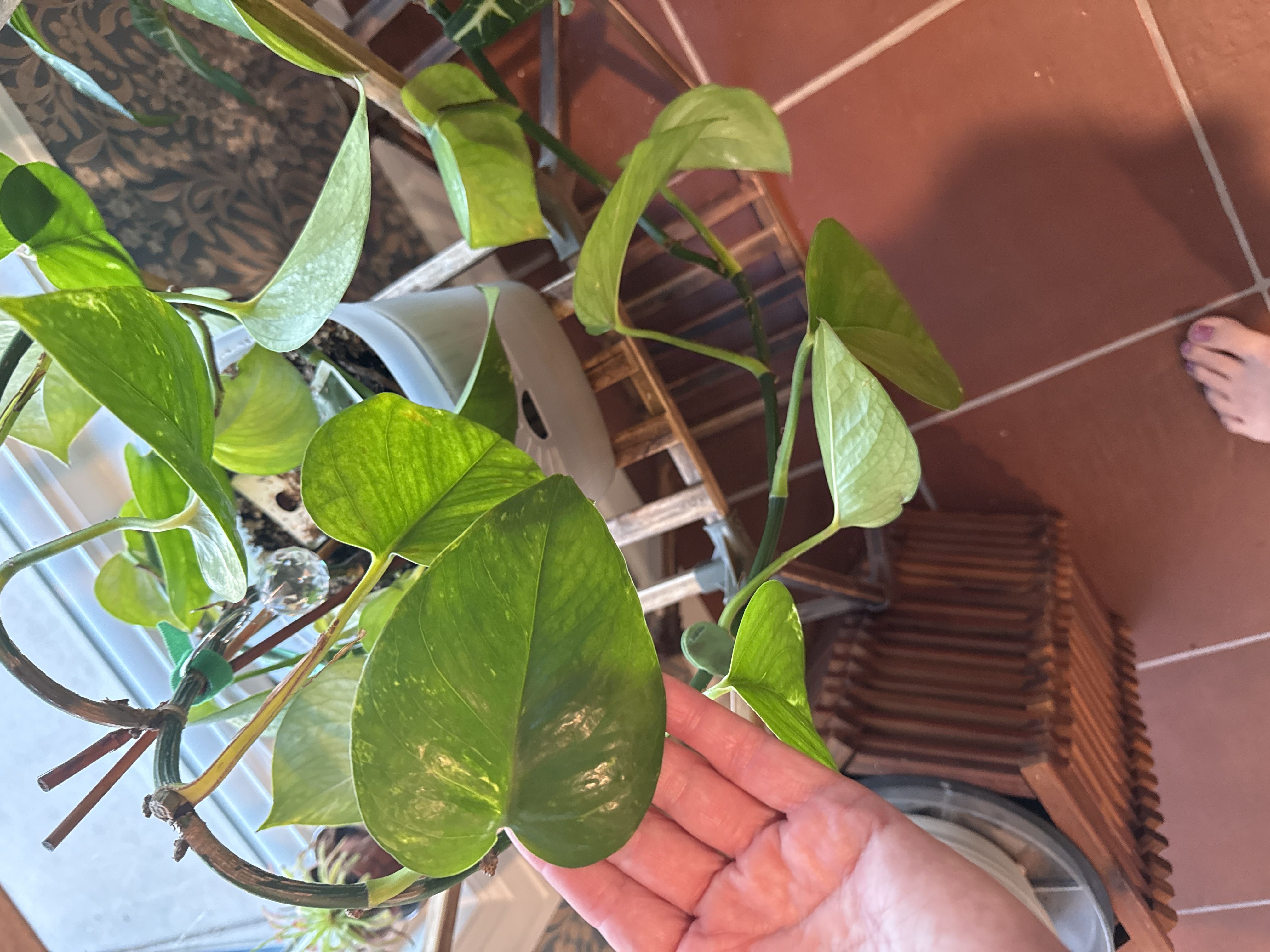 Photo from the post