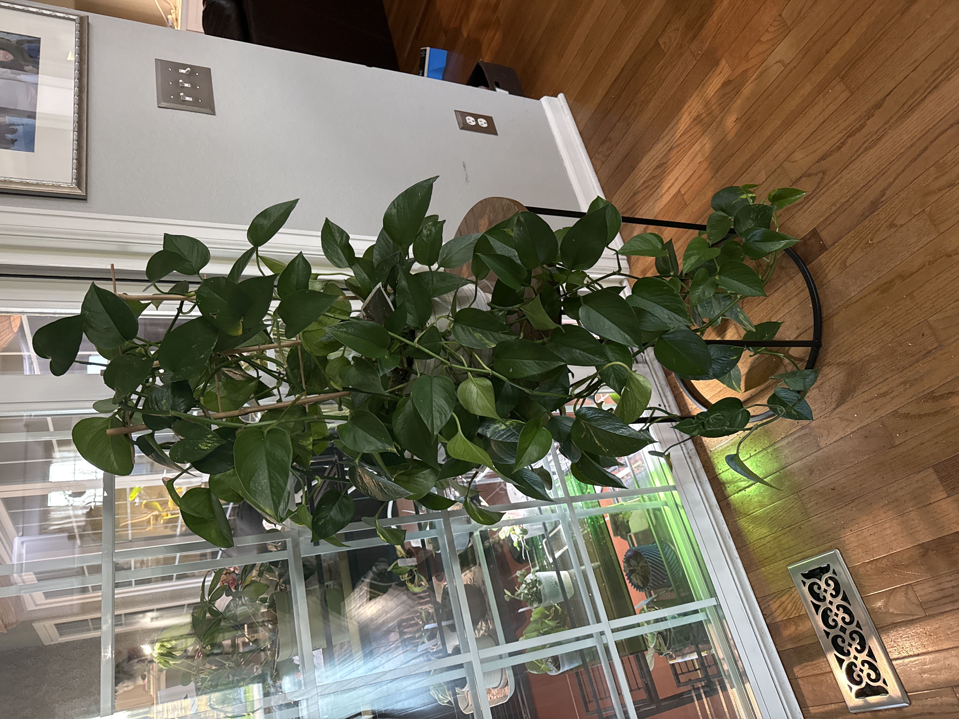 Photo from the post