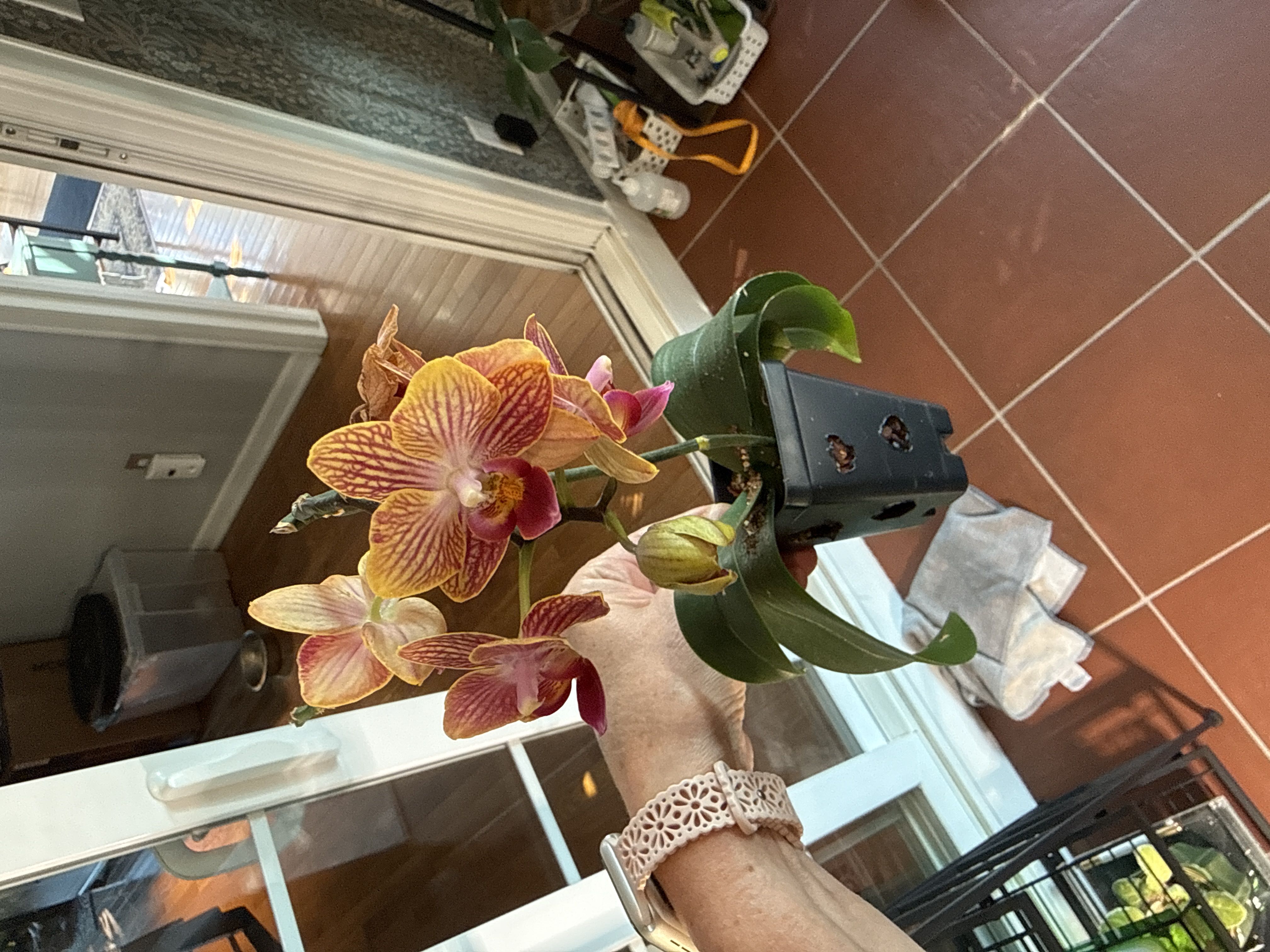 Photo from the post