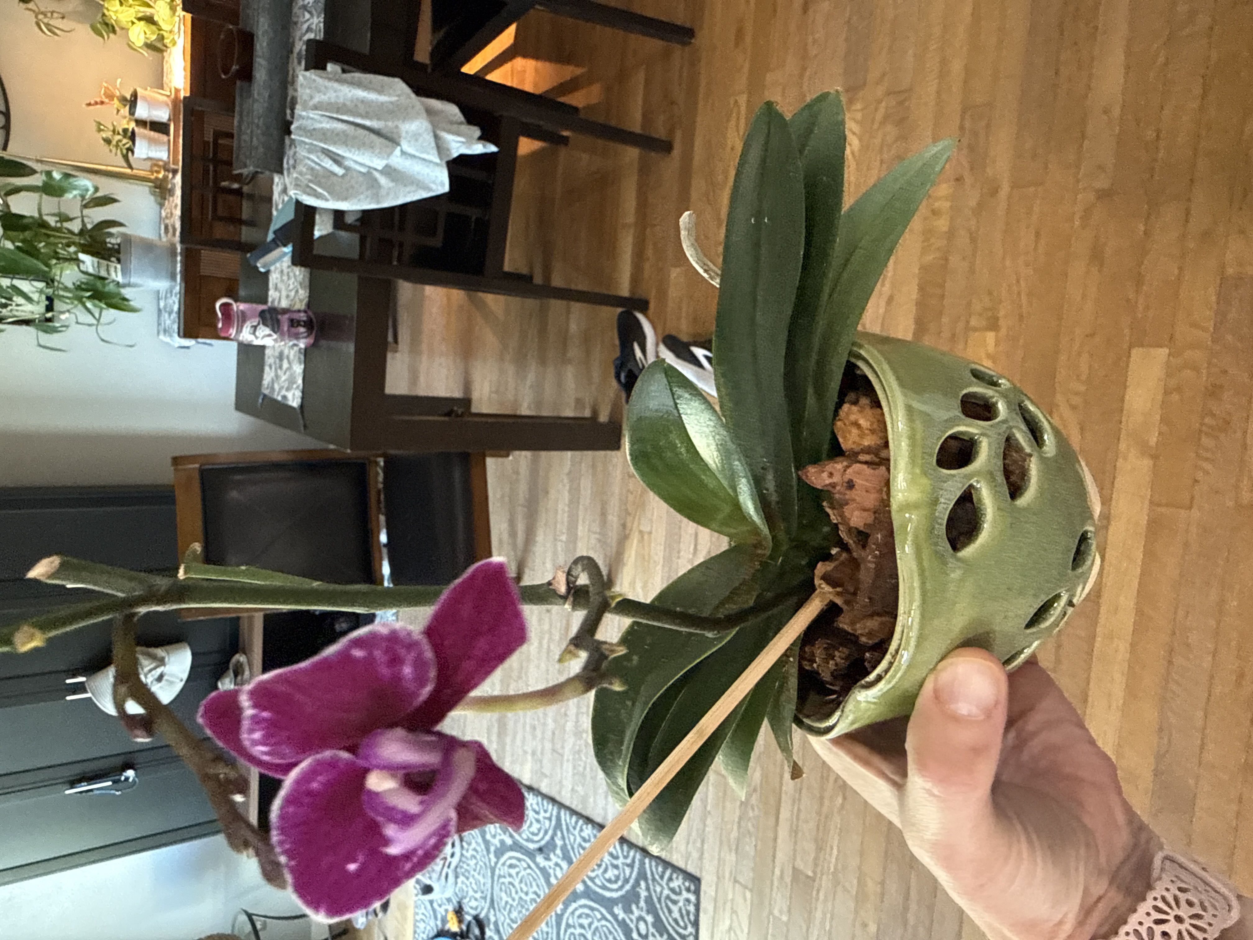 Photo from the post