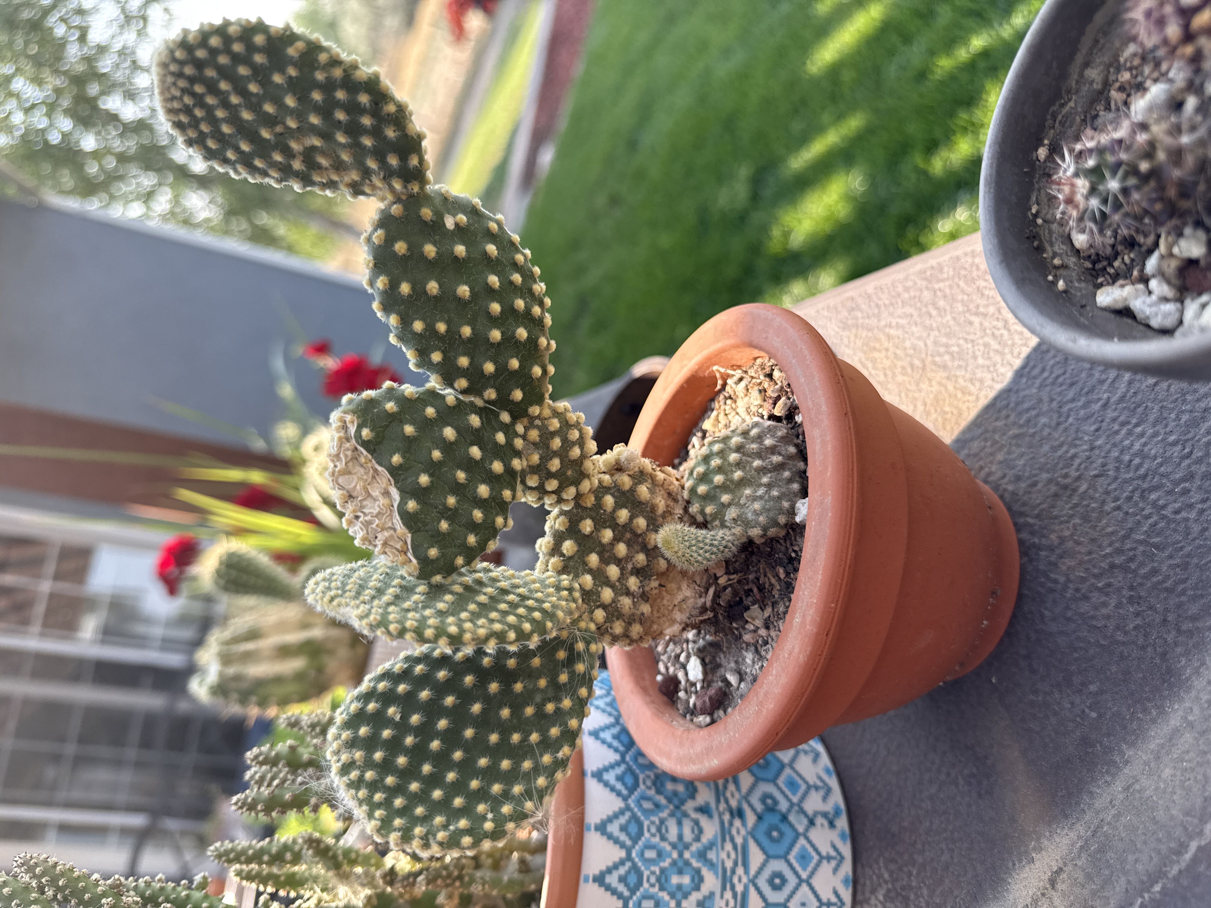 Photo from the post