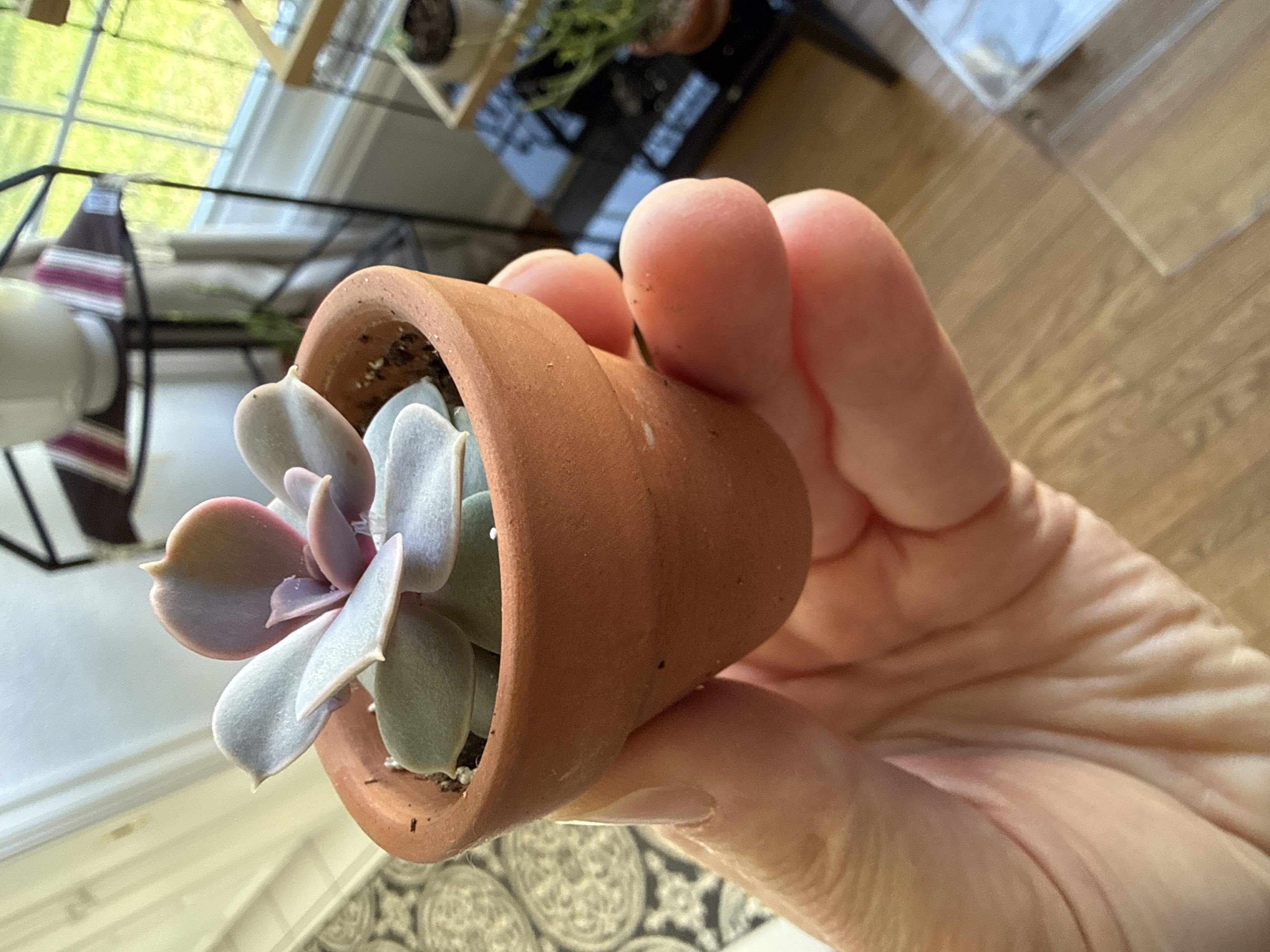 Photo from the post