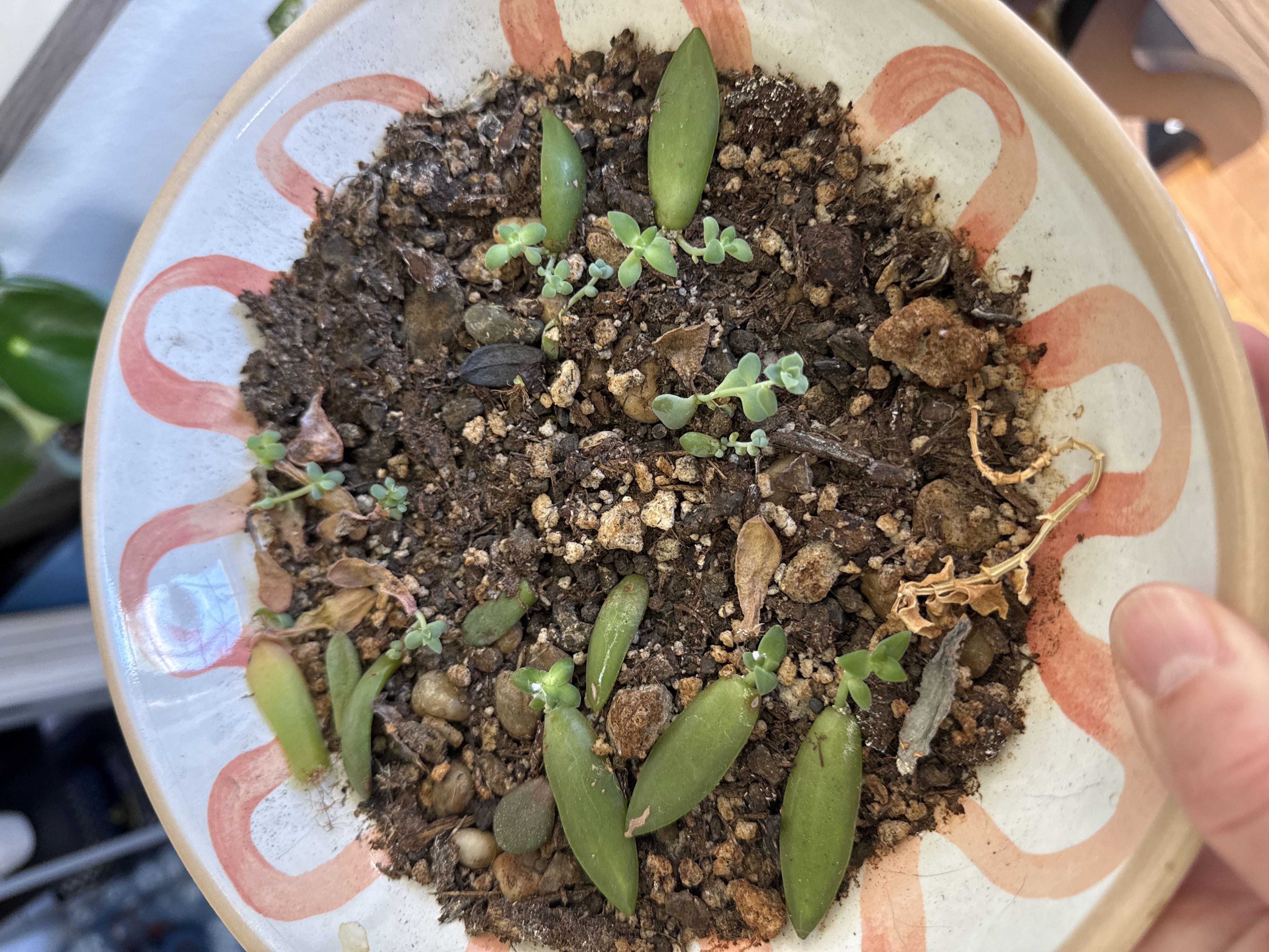 Photo from the post