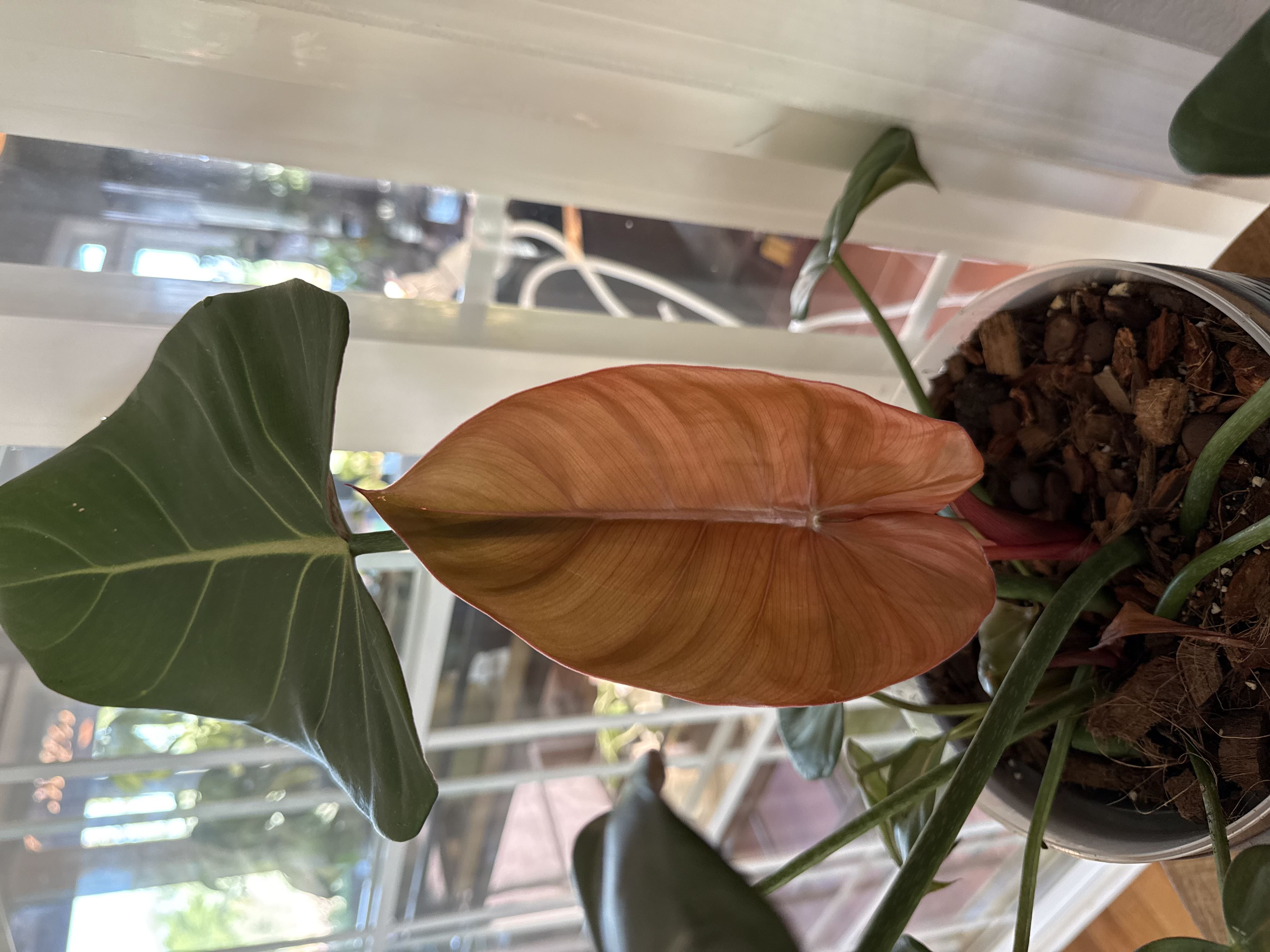 Photo from the post
