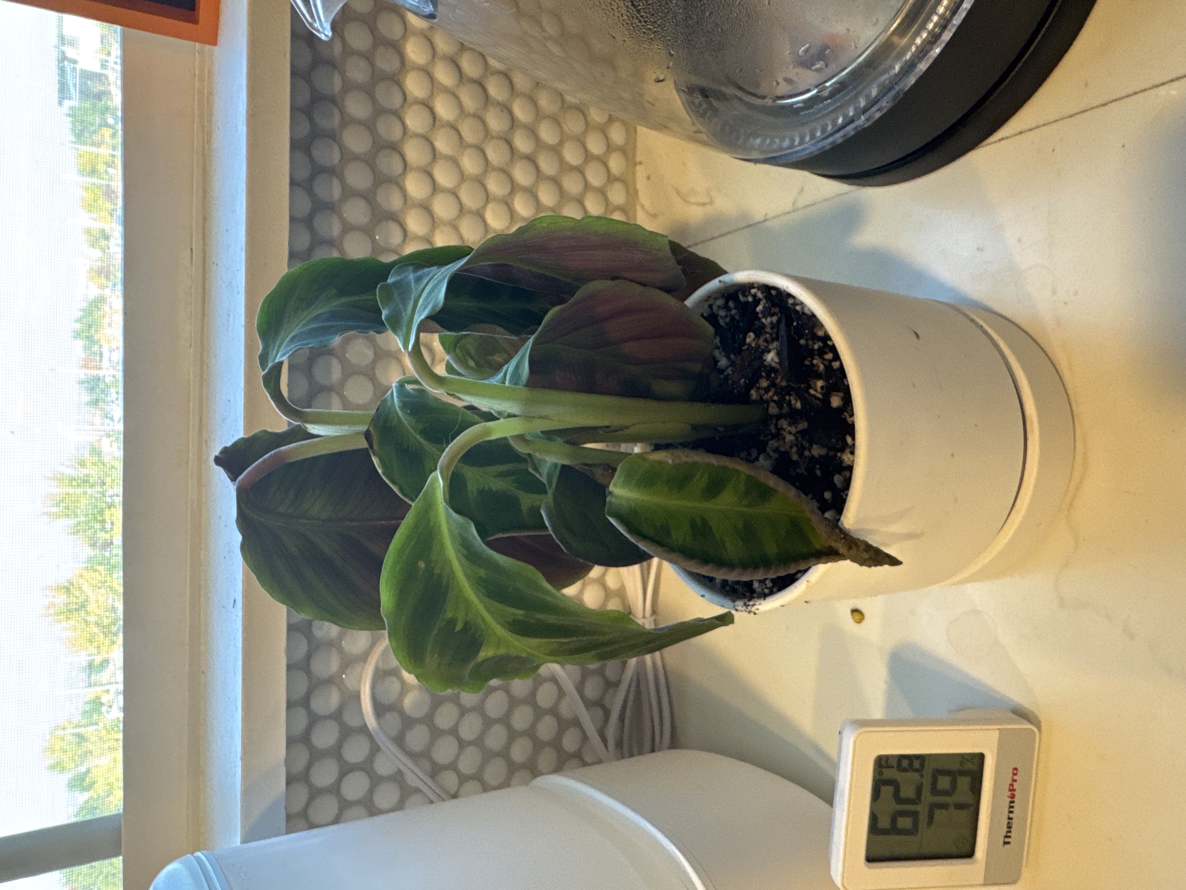Photo from the post