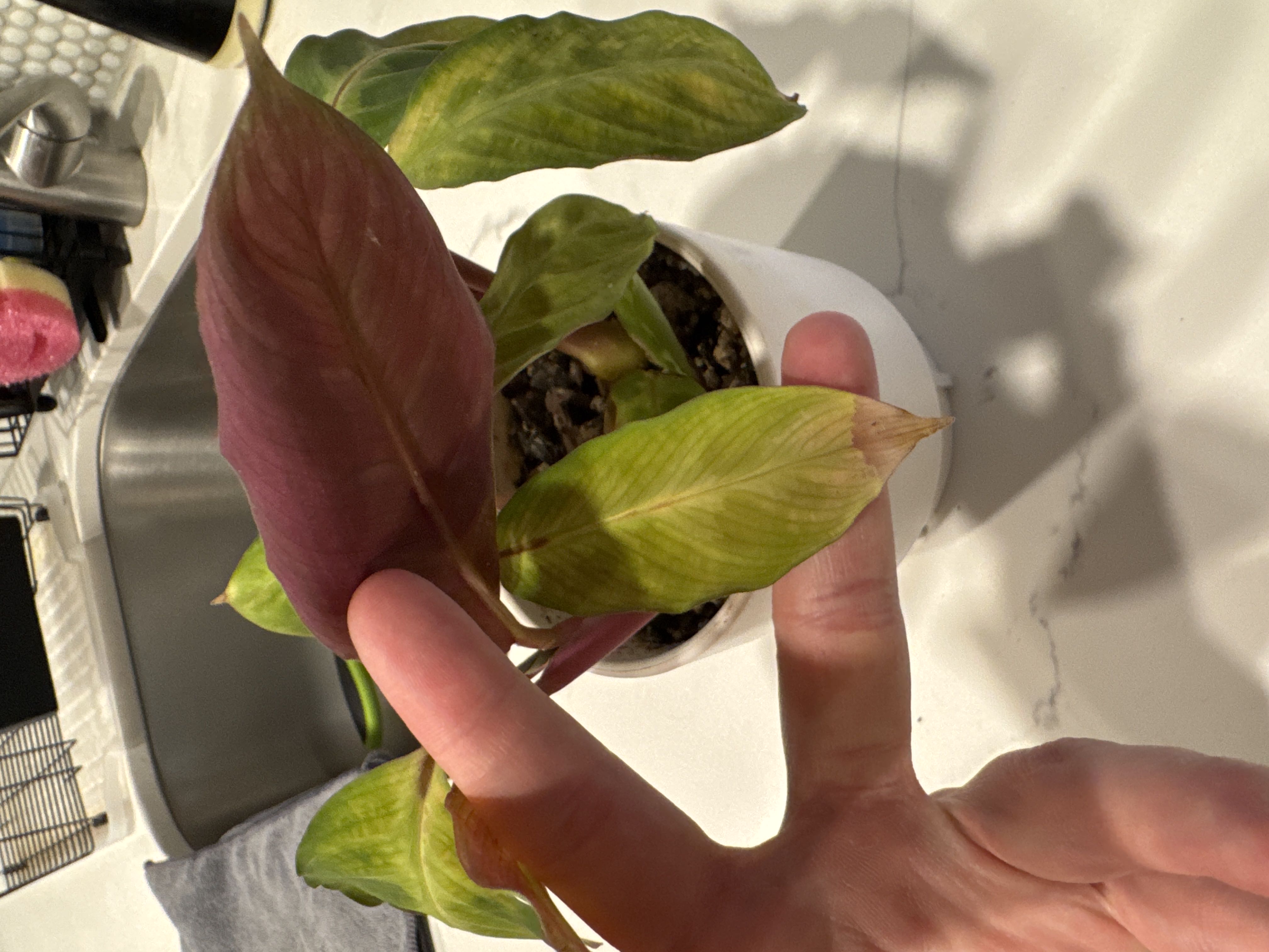 Photo from the post