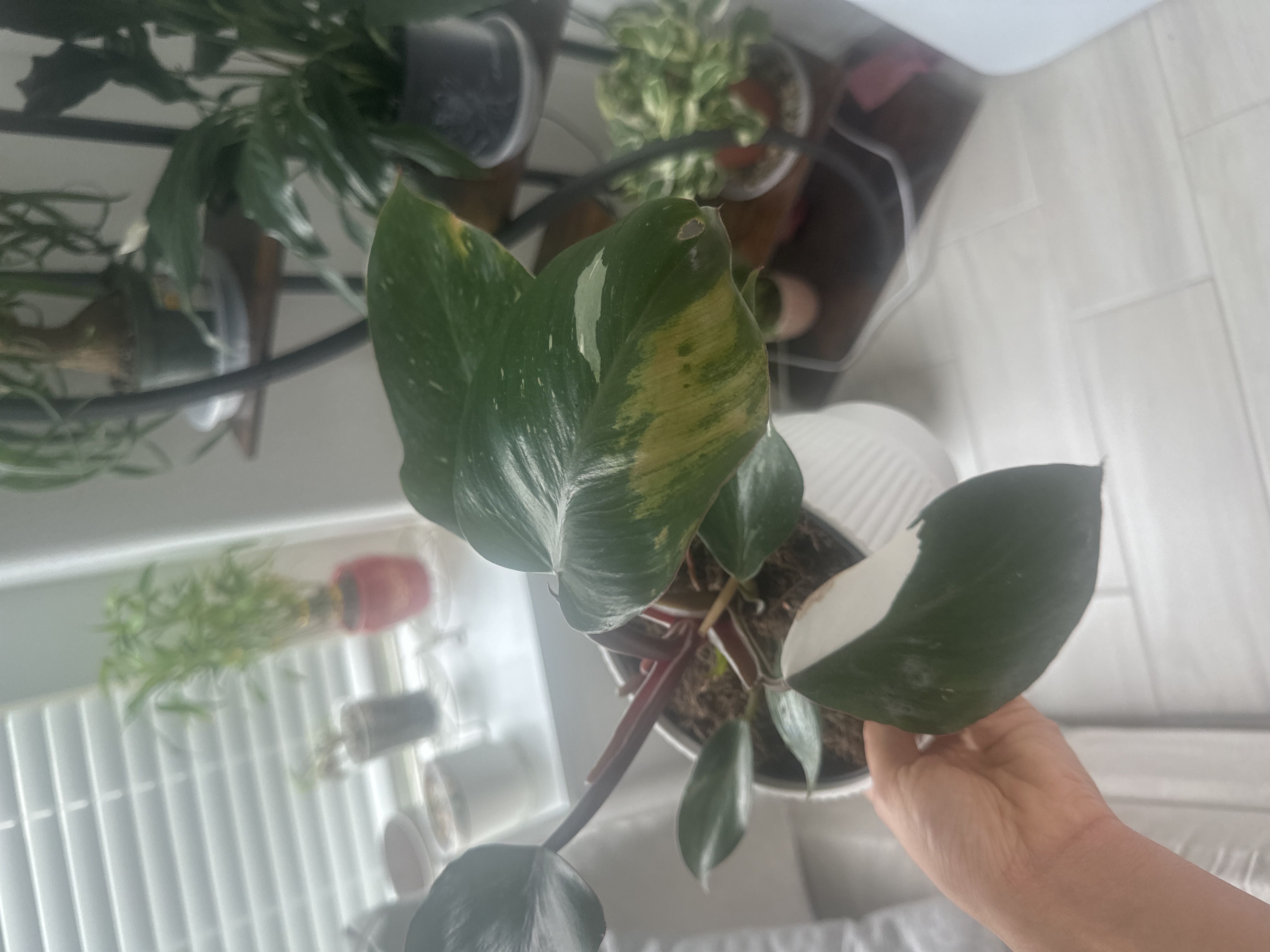 Photo from the post