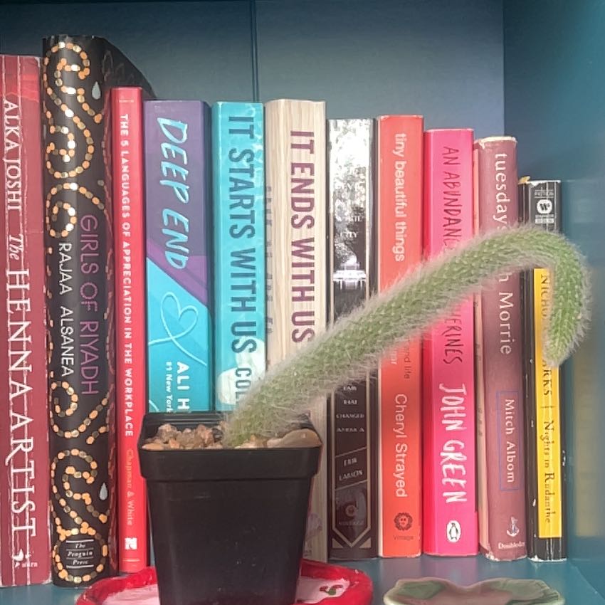 Photo of the plant species Monkey Tail by @YoungAngelplant named George on Greg, the plant care app