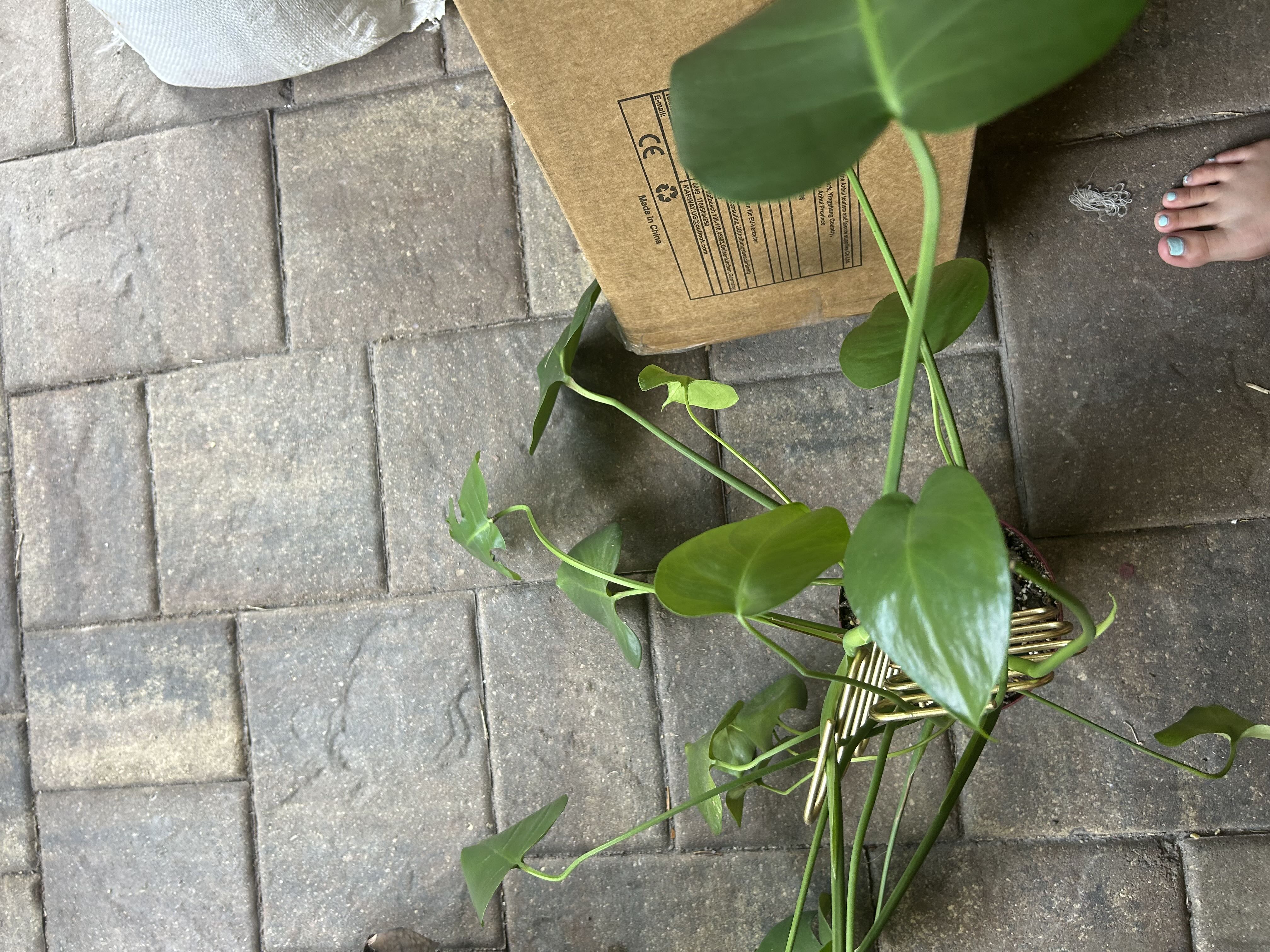 Photo from the post