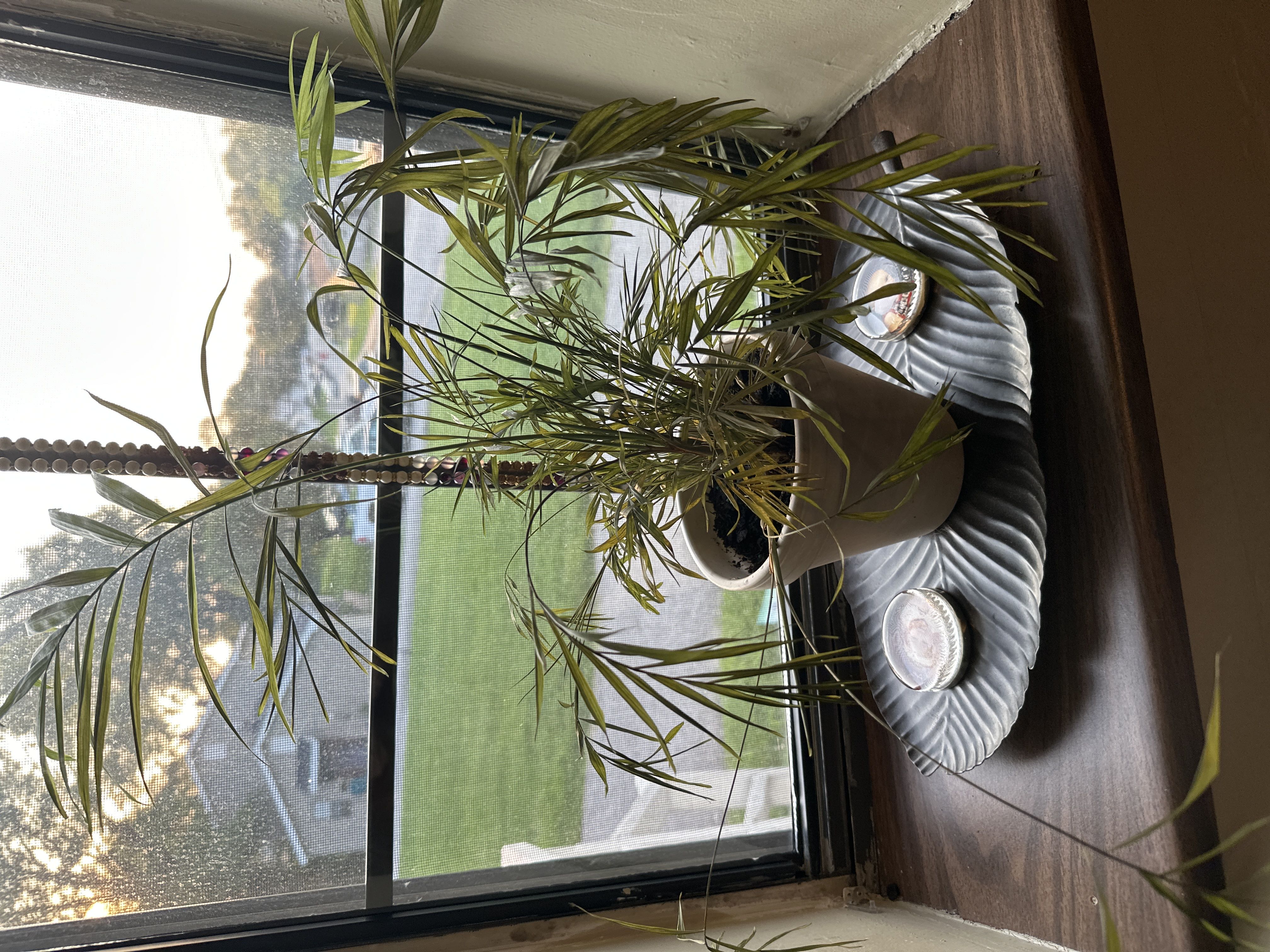 Photo from the post