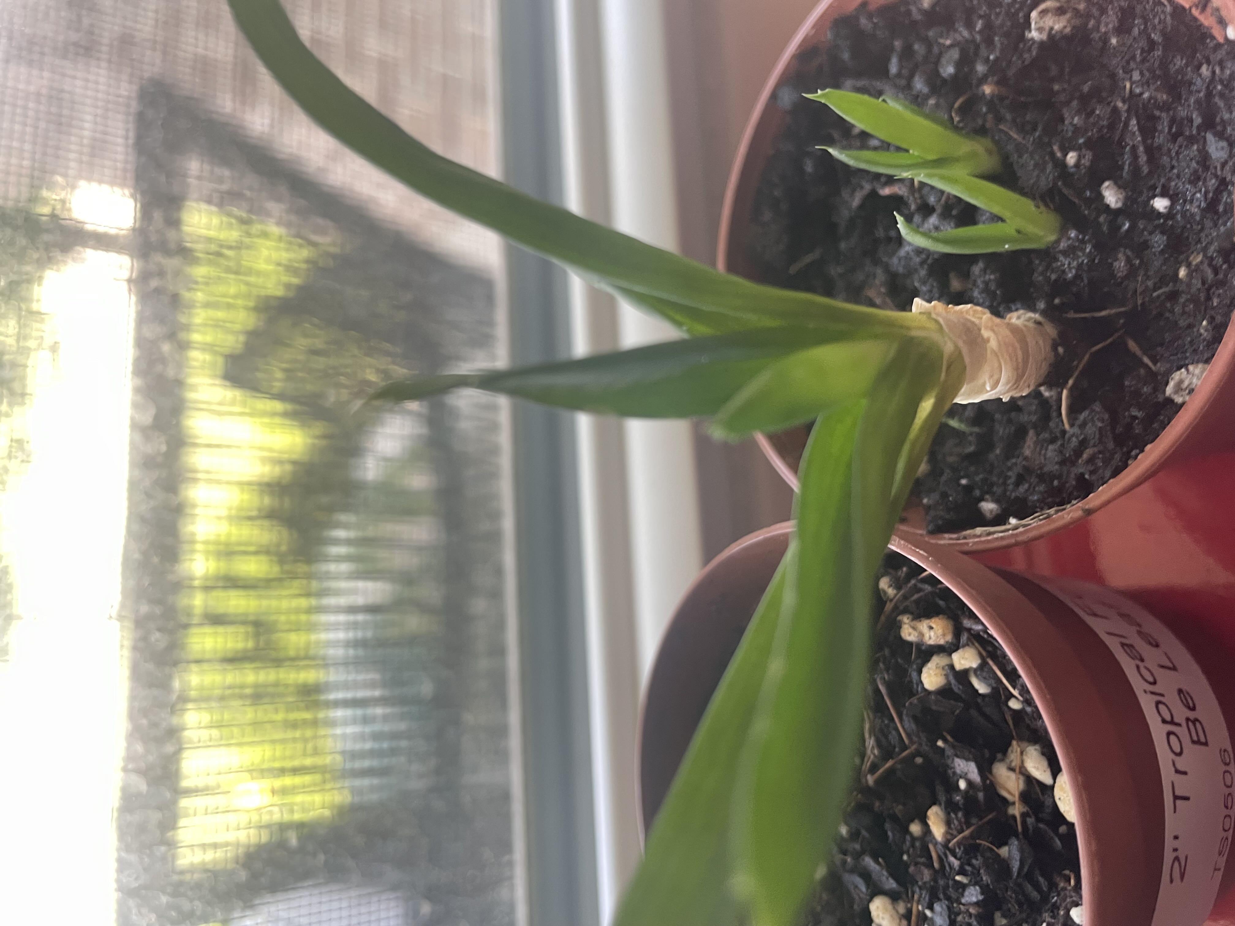 Photo from the post