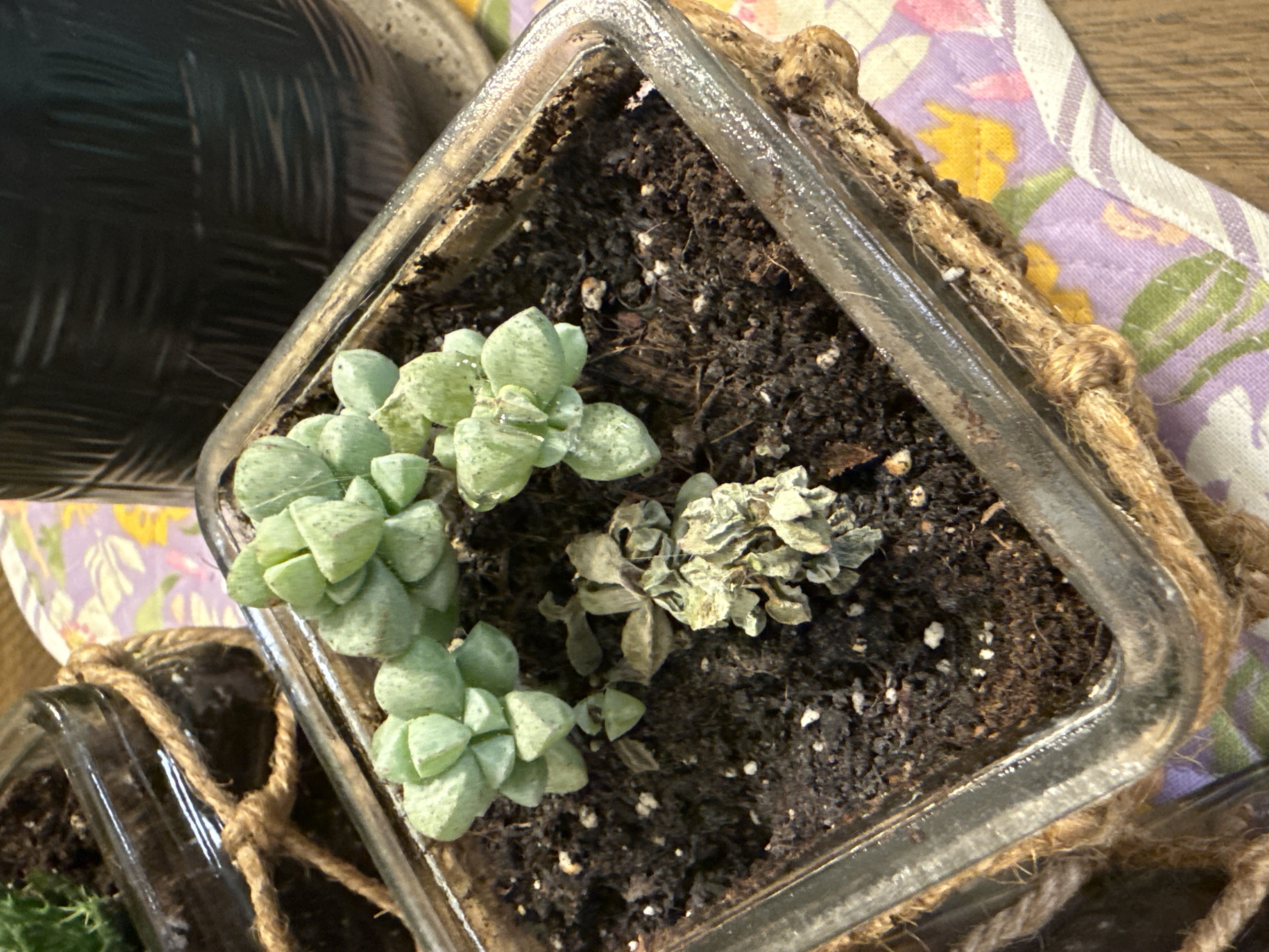 Photo from the post