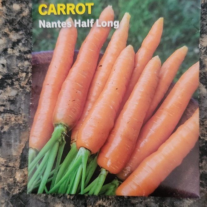 Photo of the plant species Carrot 'Nantes' by @DearShastadaisy named Sonora on Greg, the plant care app