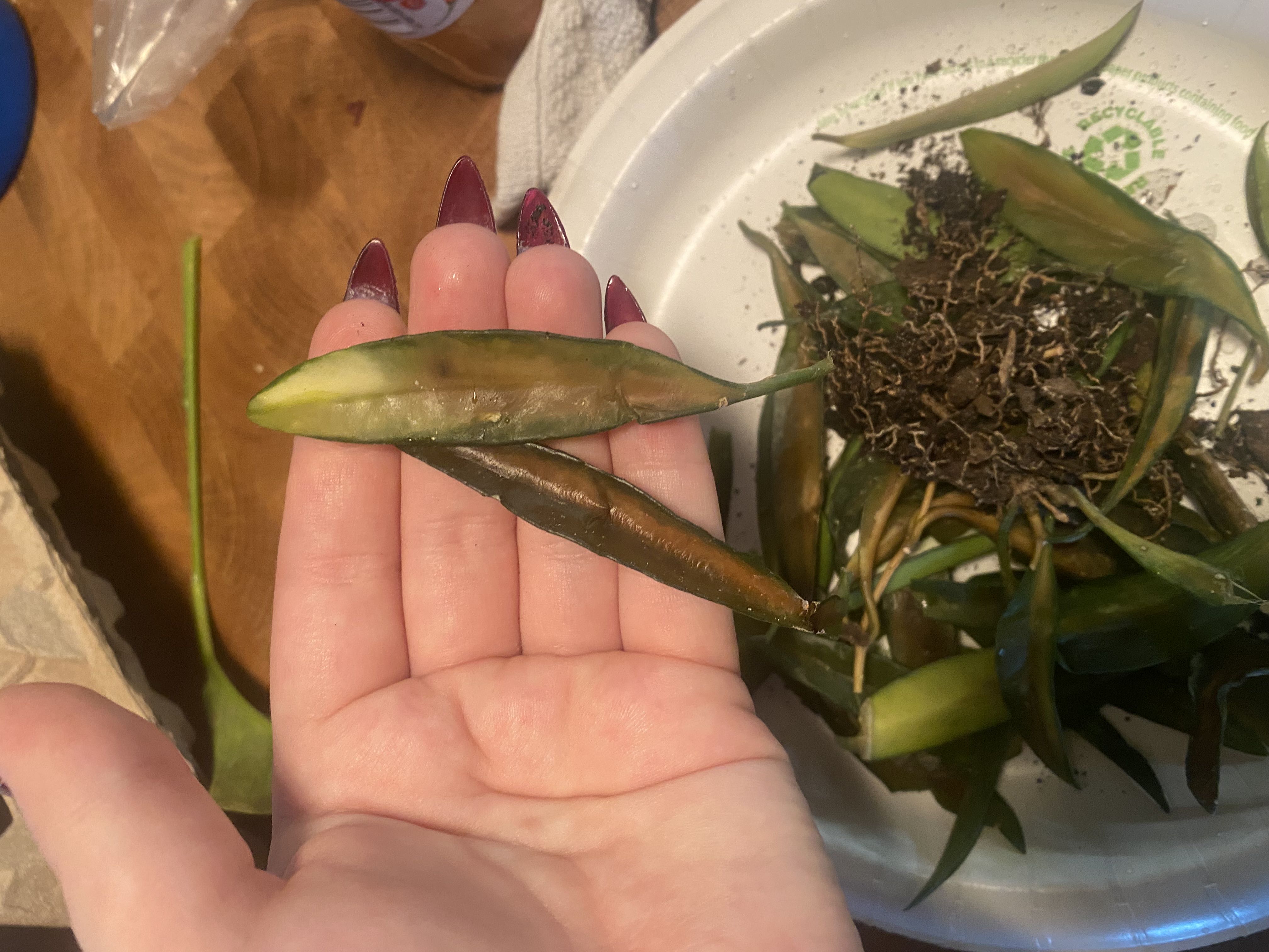 Photo from the post
