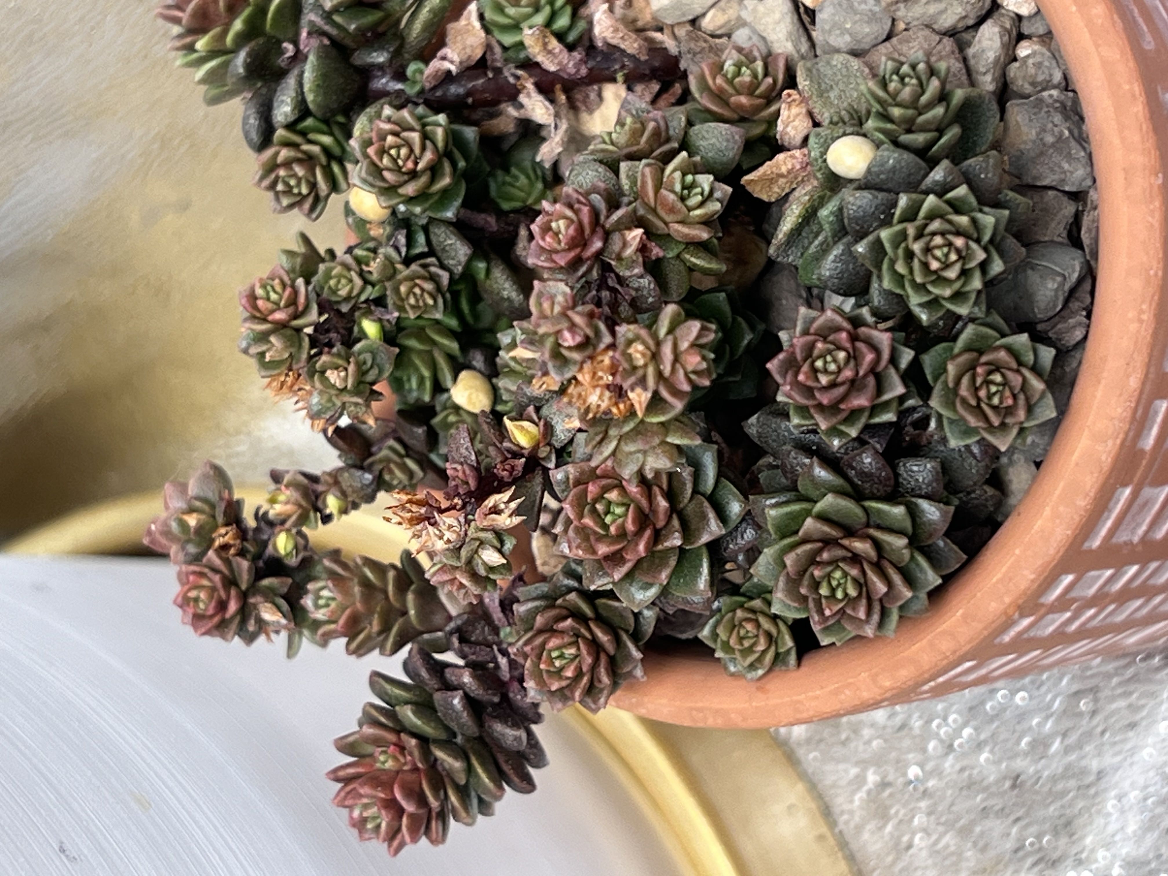 Photo from the post