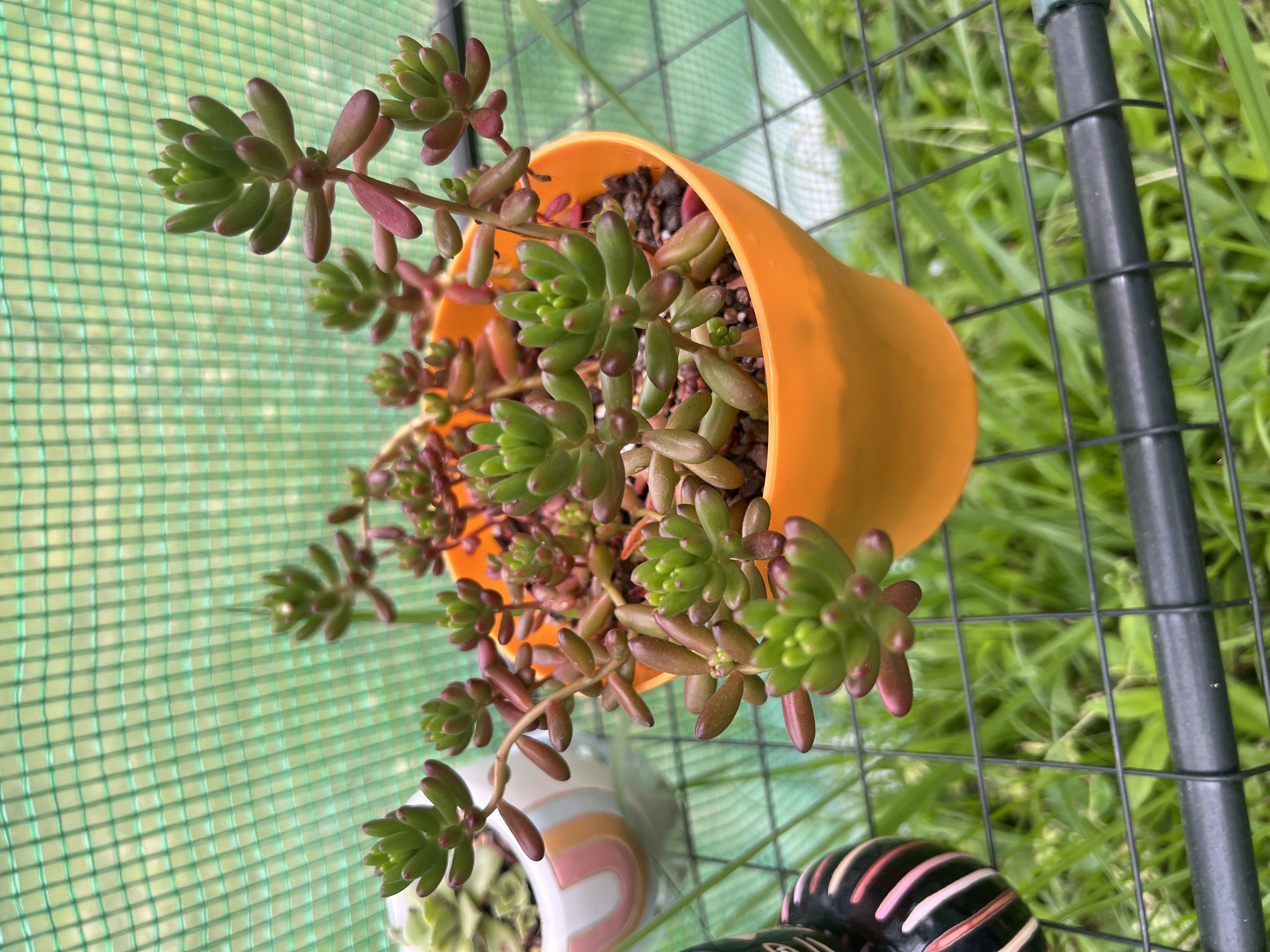 Photo from the post