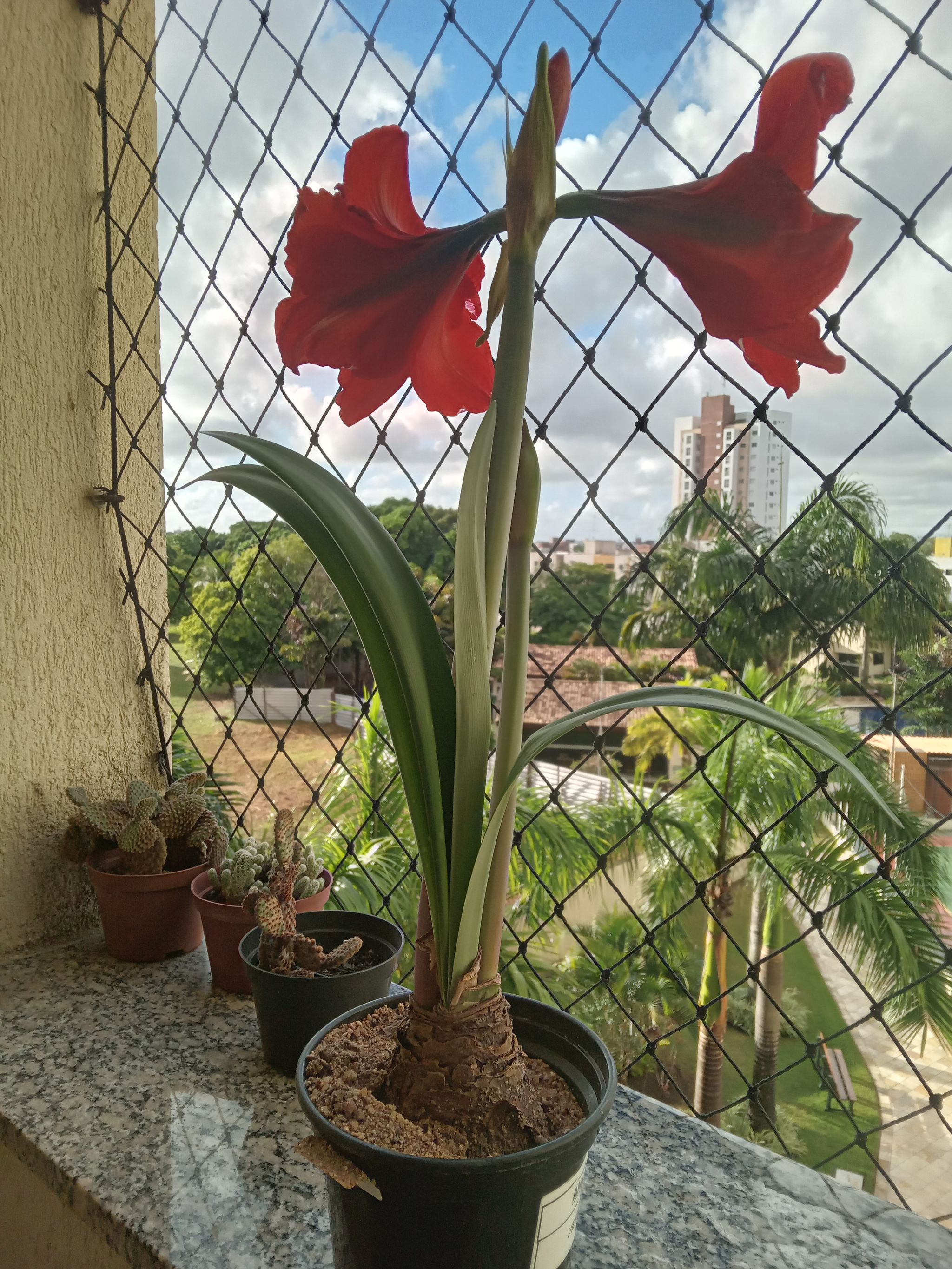 Photo from the post