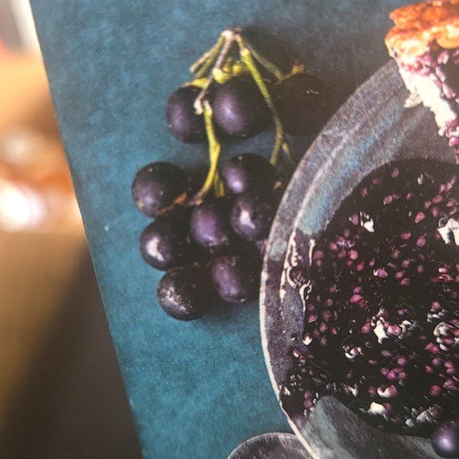 Photo of the plant species Wonderberry by @Gatherer named Lola on Greg, the plant care app