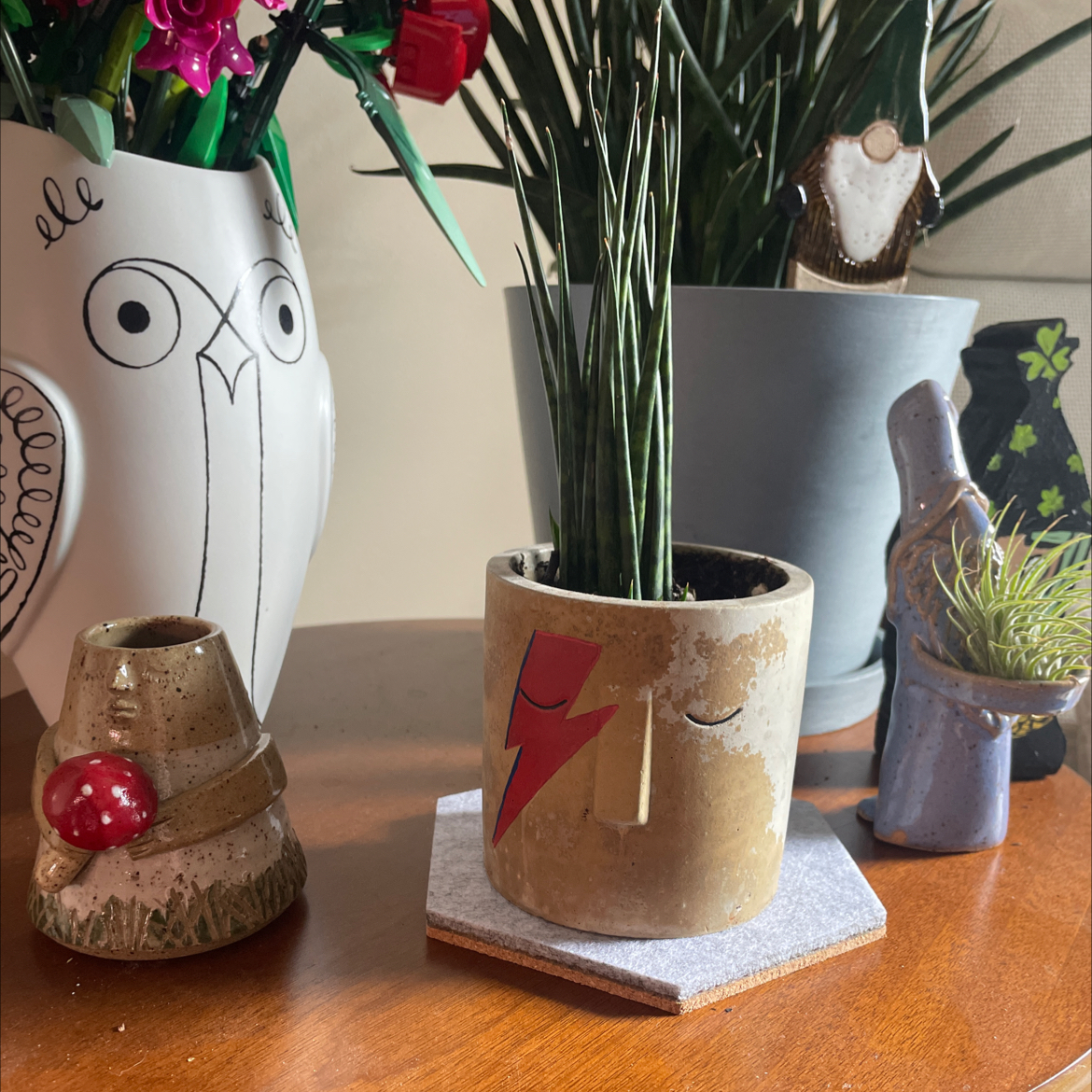 Dracaena 'Mikado' plant in a decorative pot with visible soil, surrounded by other decorative items.