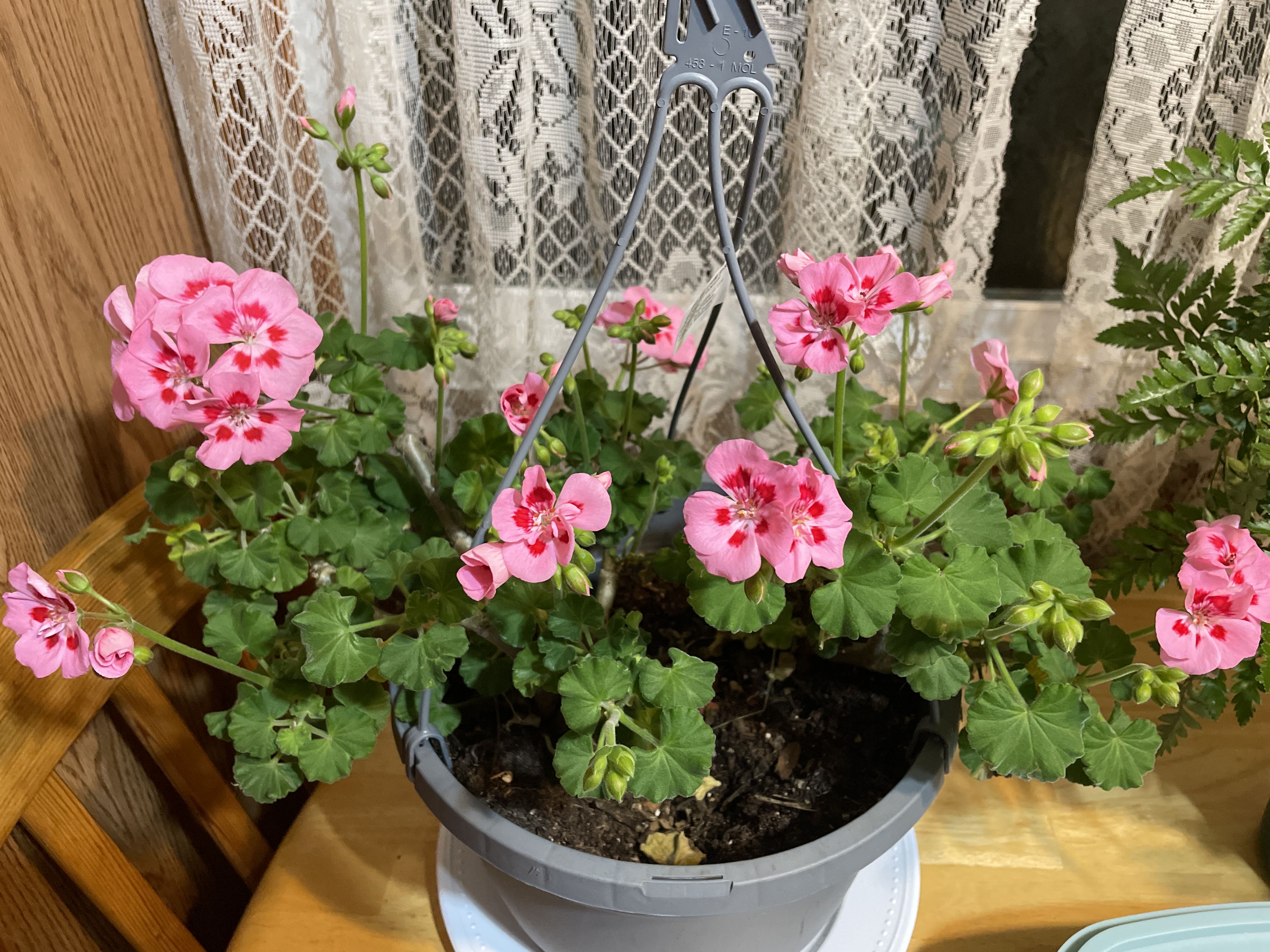 Photo from the post