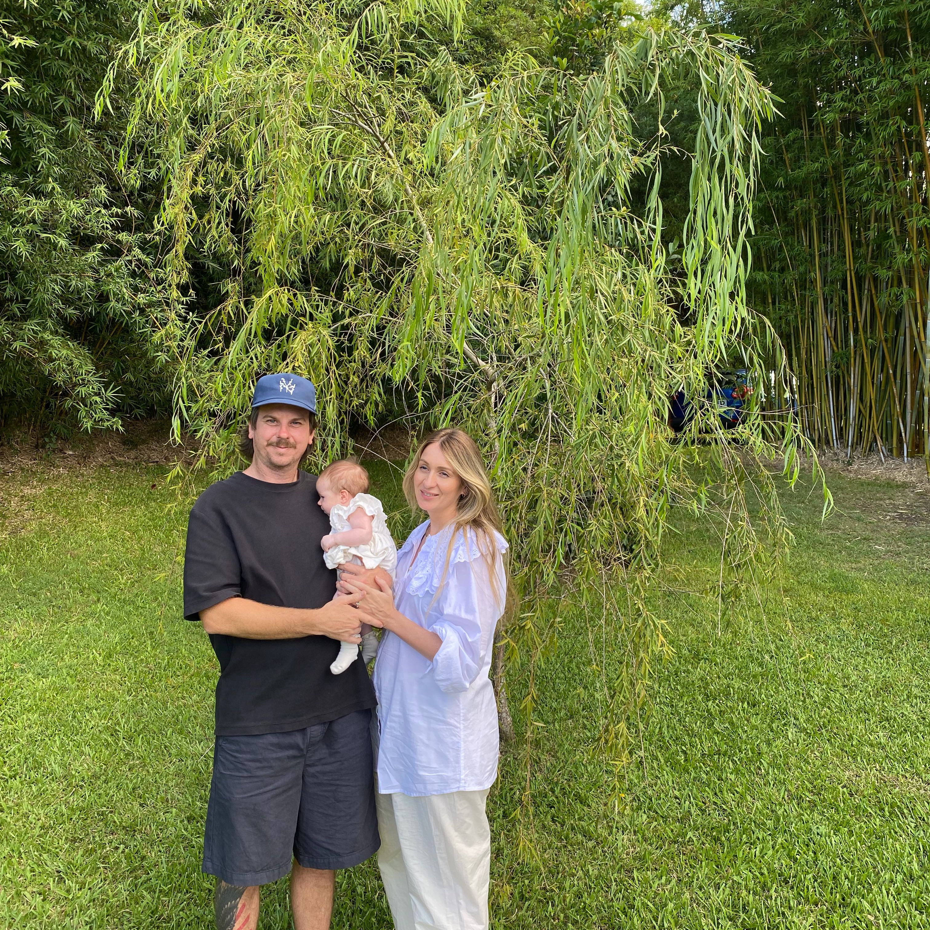 Photo of the plant species Weeping Willow by @GoldenGrass46 named Denali on Greg, the plant care app