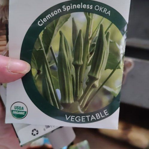 Photo of the plant species Green Okra by @ExpensiveRosea named Tree Diddy on Greg, the plant care app