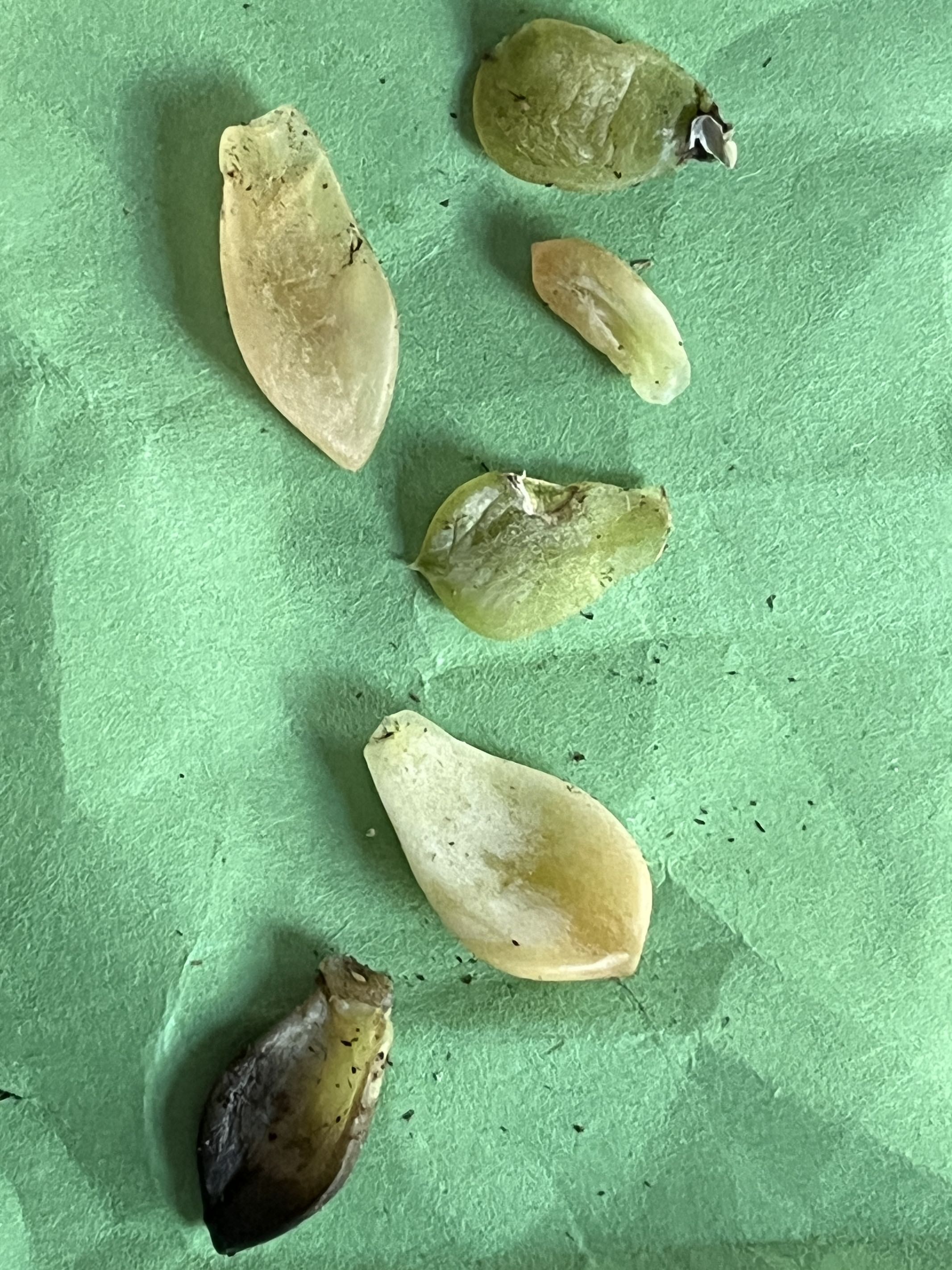 Photo from the post