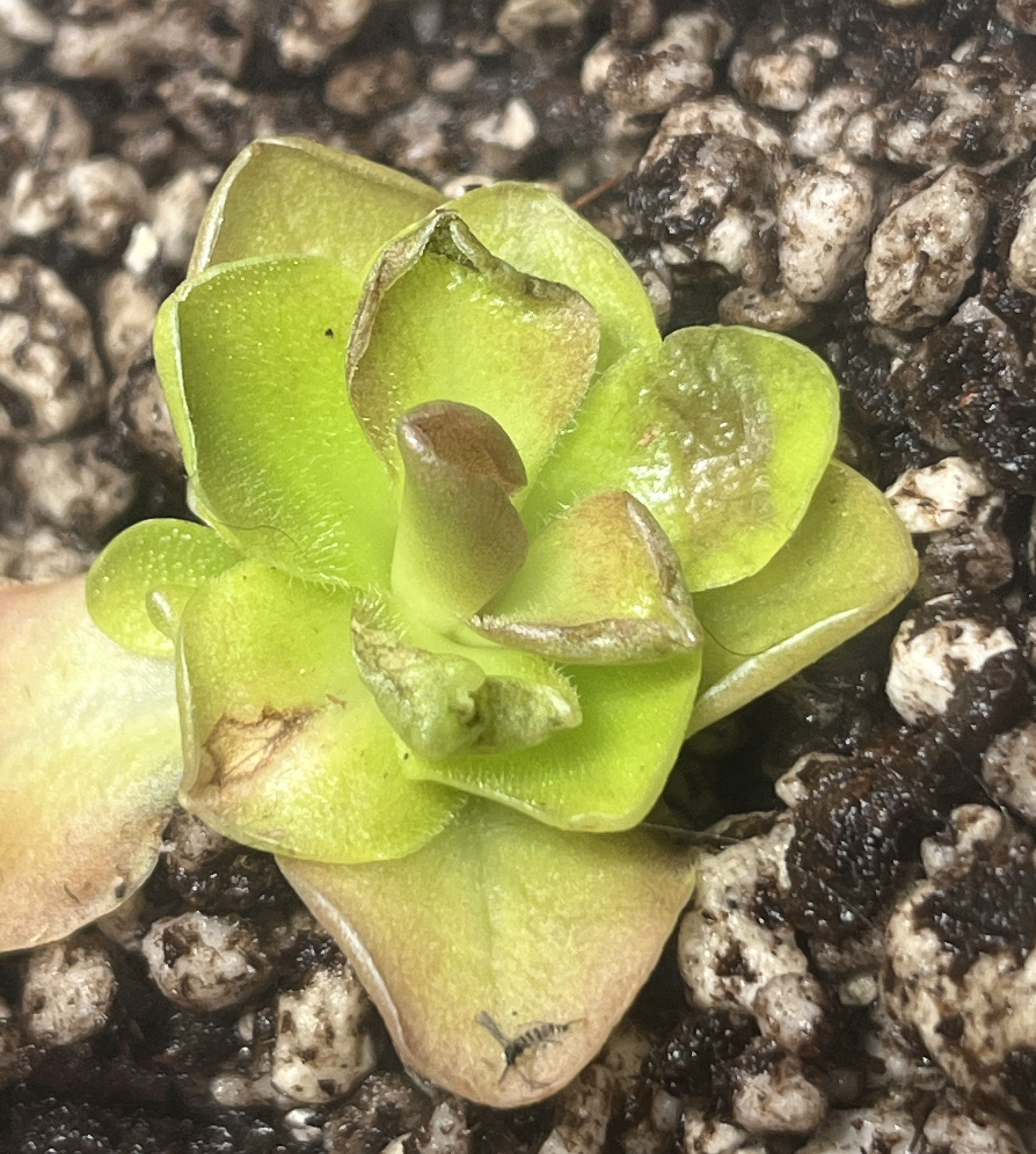 Photo from the post